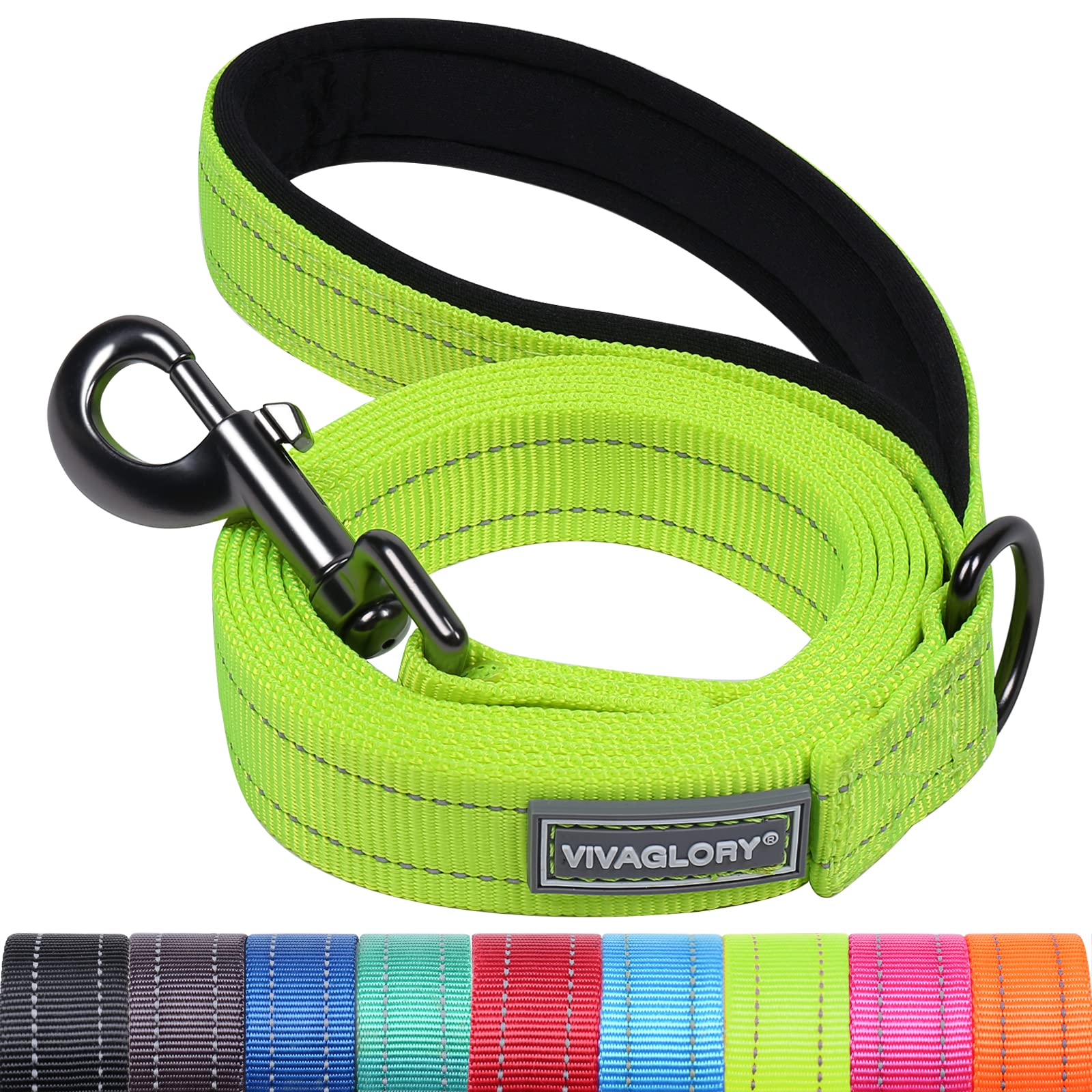 VIVAGLORY Dailyx Dog Leash, Puppy Leash for Training & Walking with Soft Padded Handle, Heavy Duty & Double Layer Nylon for Pet Puppy, 3ft x 1in,