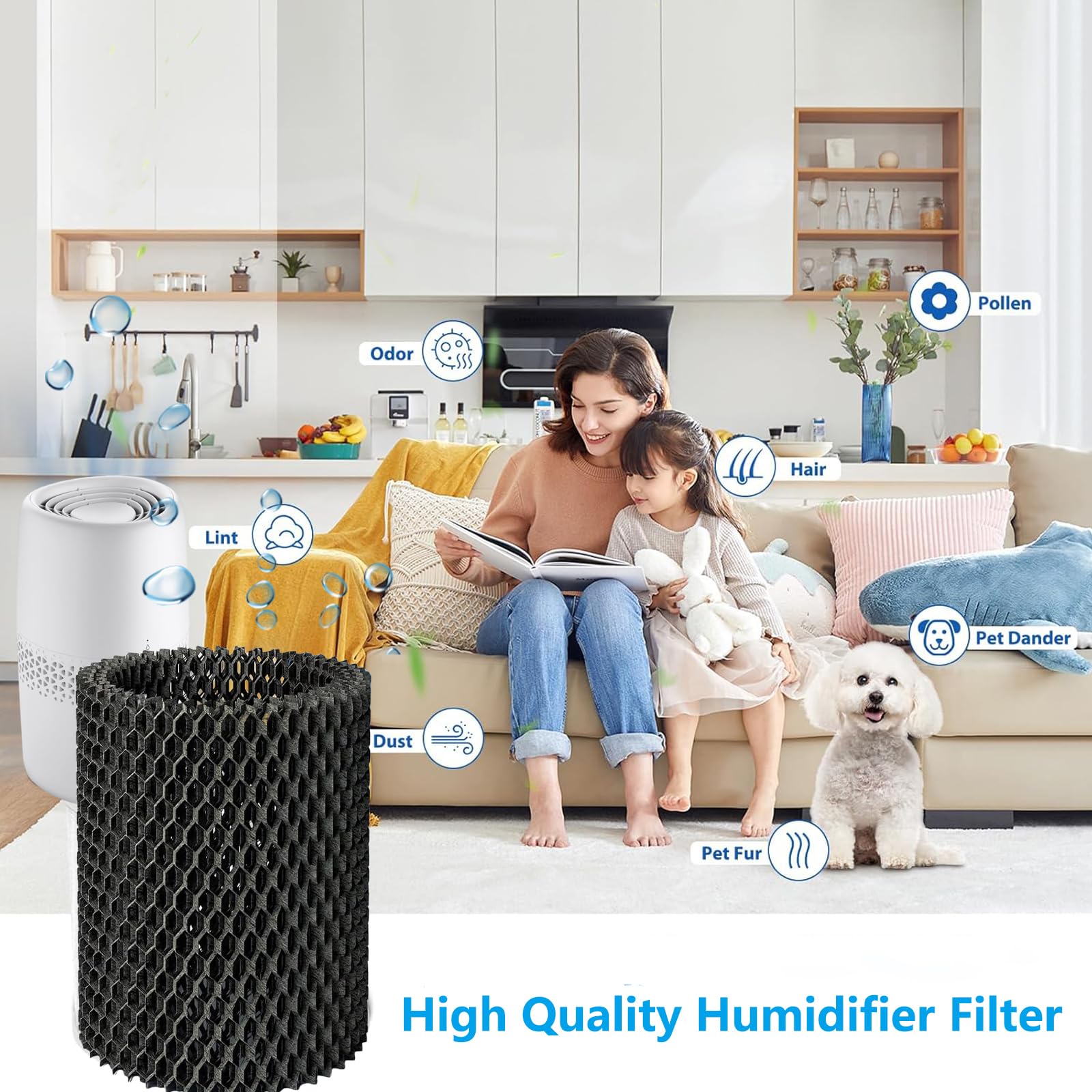 FY1190 - Filtro di ricambio compatibile con Philips Series 2000 HU2510/10, filtro HEPA FY1190/30, umidificatore, 4 pezzi