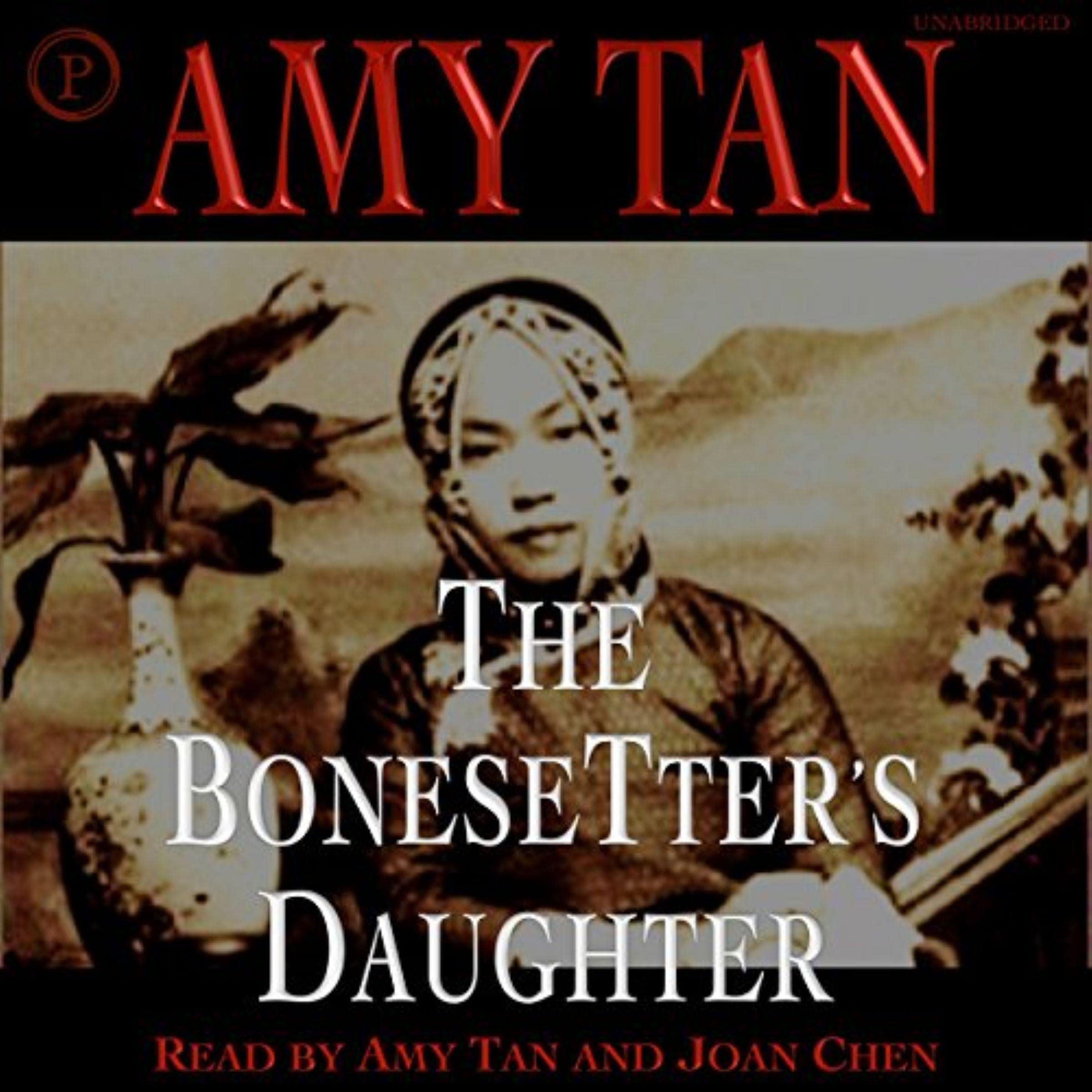 Cover art for The Bonesetter's Daughter