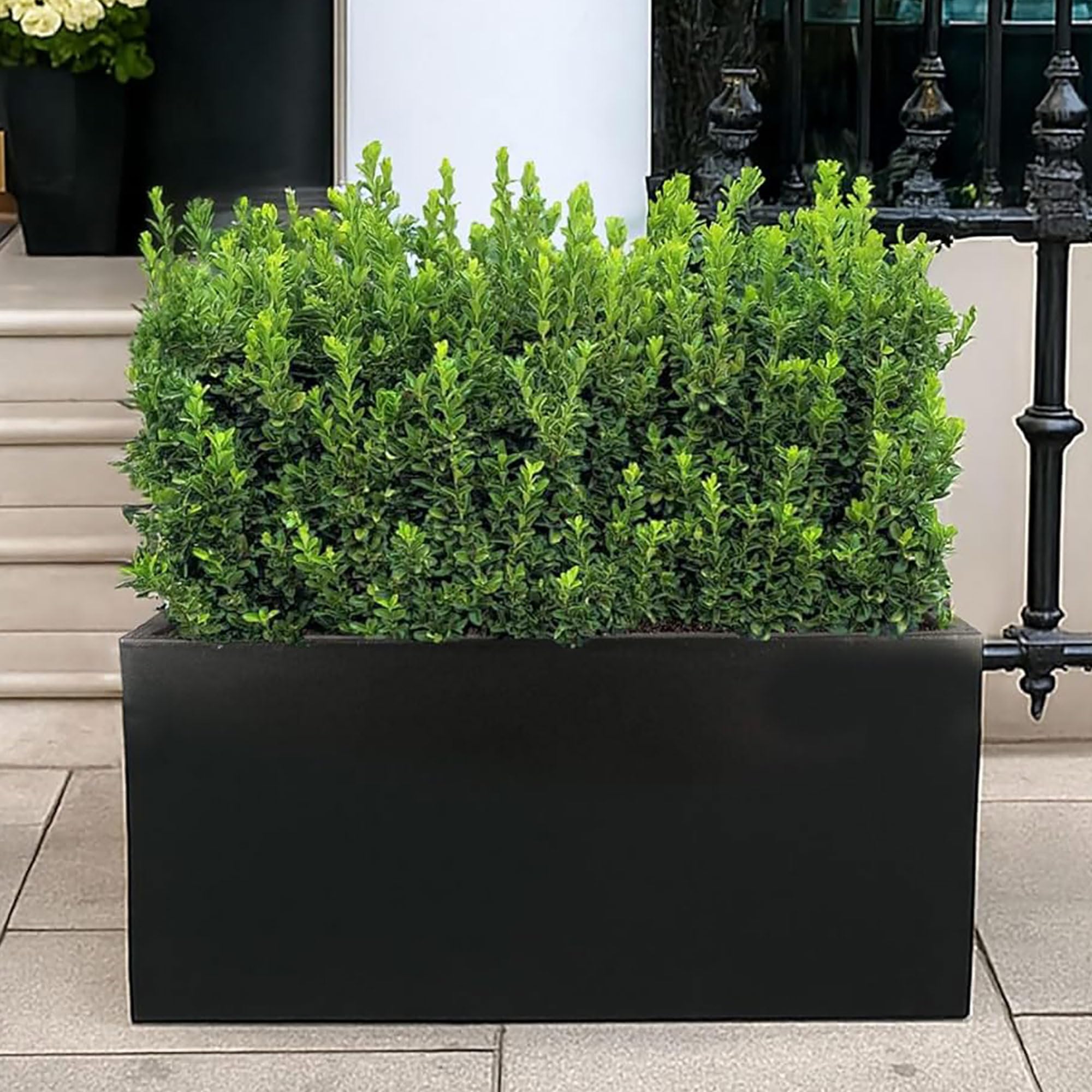 IDEALIST 60cm Large Trough | Black Reinforced Stone Rectangular Planter | Garden Planters with Drainage Holes L60 W30 H30 cm, 35 litres