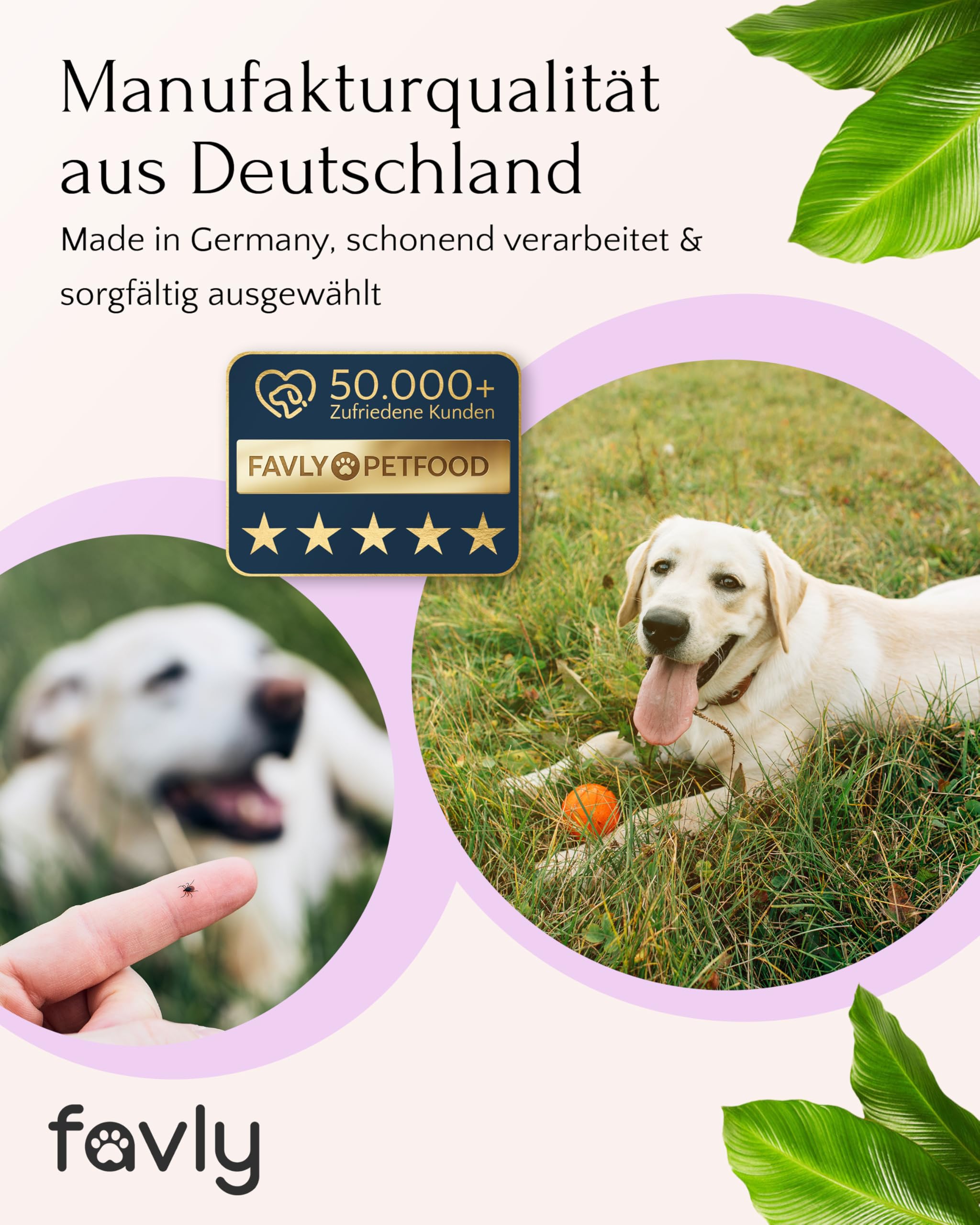 FAVLY – ZecOFF Zeckenschutz 50ml für Hunde ab 2kg – Spot-On gegen Zecken, Flöhe & Mücken – pflanzlich basiertes Zeckenmittel mit Saltidin, Neemöl, Eukalyptus, Geraniol – Zeckenabwehr ohne Nervengift
