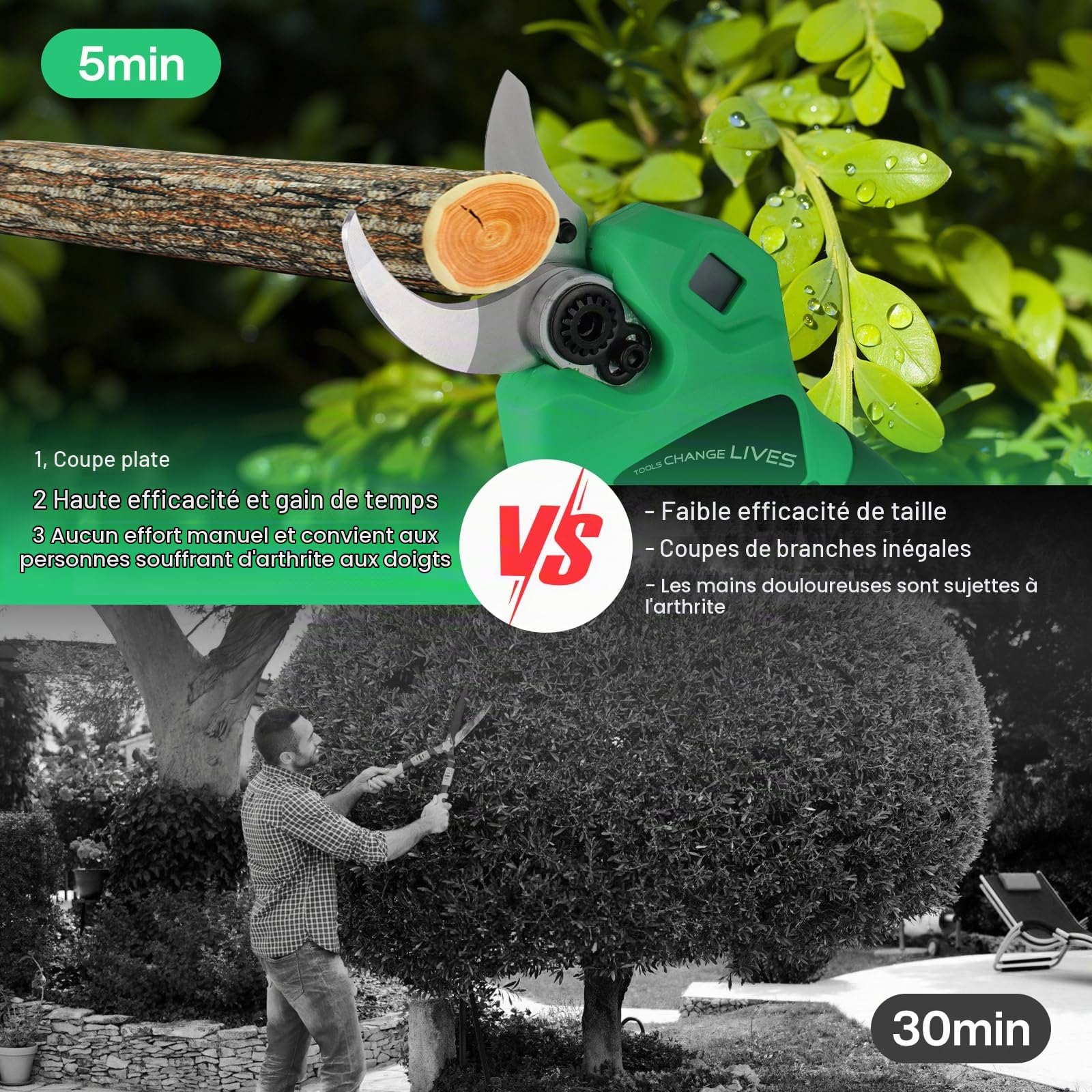 Secateur Telescopique Electrique - 45mm Sécateur électrique avec 2 batteries 21 V/2000 mAh - sécateur à batterie avec perche avec Lame SK7, Secateur electrique sans Forbici Potatura Elettriche
