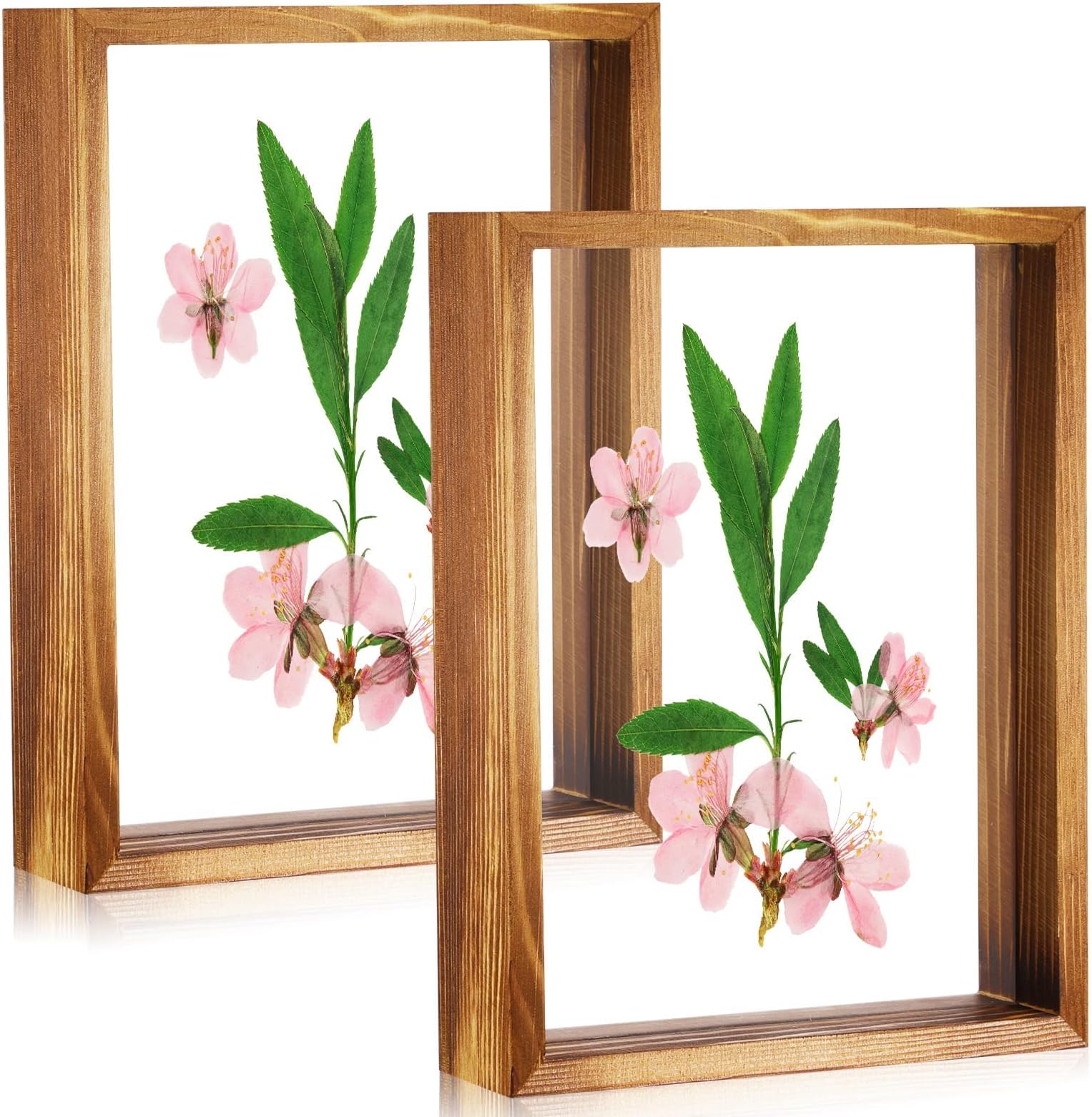 MAKINGTEC 2 Pcs Rustic Floating Frames, Pressed Flower Display Frames Double-sided Acrylic Frames Wooden Plant Specimen Frames Double-sided Photo Display Herbarium Specimen Frames for Desktop