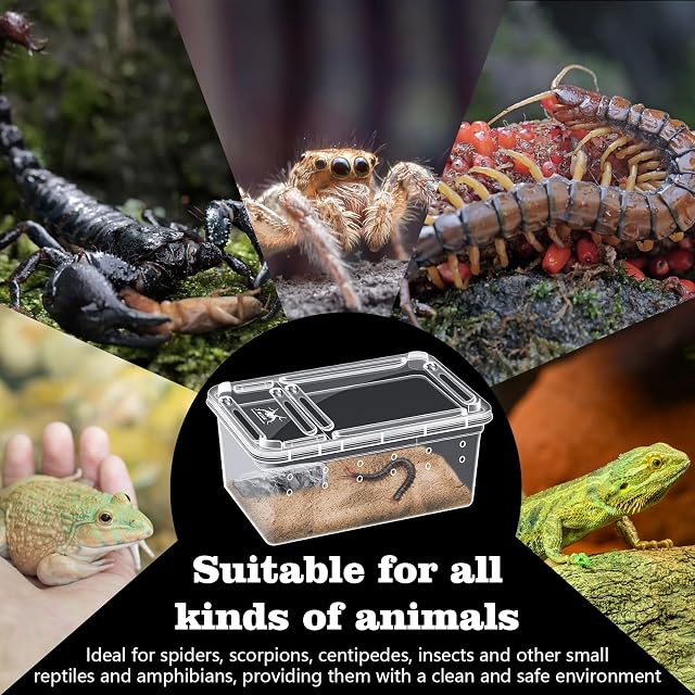Foto 6 de 7 de 10 Cajas de Alimentación para Reptiles, Jaula de Hábitat de Animales Transparente, Terrario de Araña