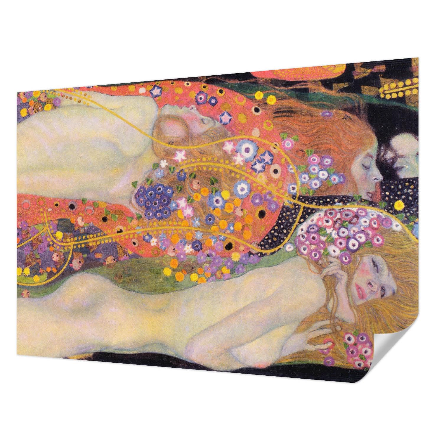 Papier peint photo haute qualité Tulup revêtement panoramique mural 312x219 cm fleurs