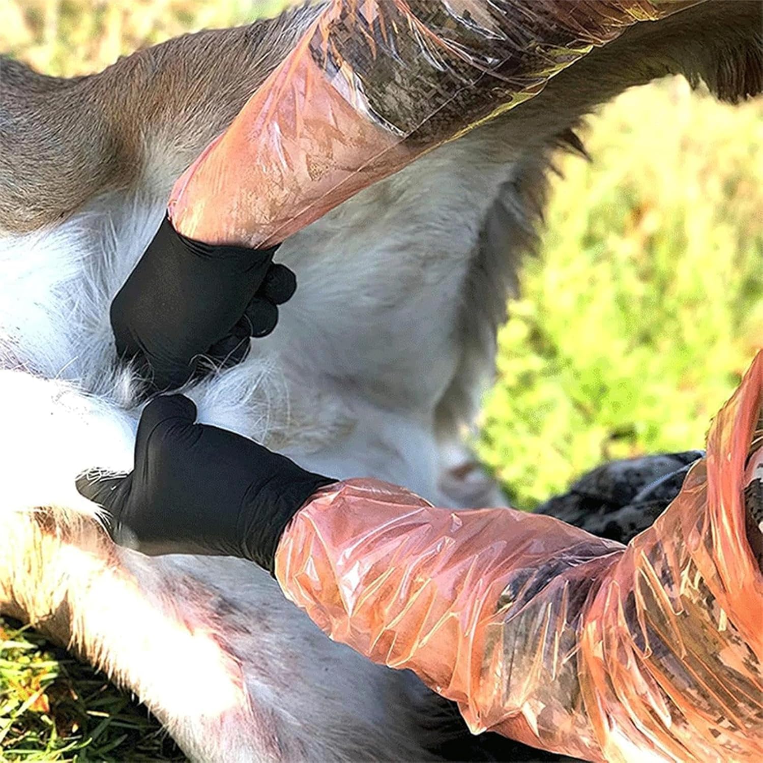 Sphere360 Field Dressing Gloves Kit–60PCs of Disposable Long PE & Short Nitrile Gloves, Rubber Bands for Hunting, Gutting, Cleaning&Outdoor Use–Perfect for Deer,Elk, Bear, Hog&Fish Cleaning