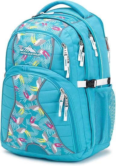 high sierra swerve backpack