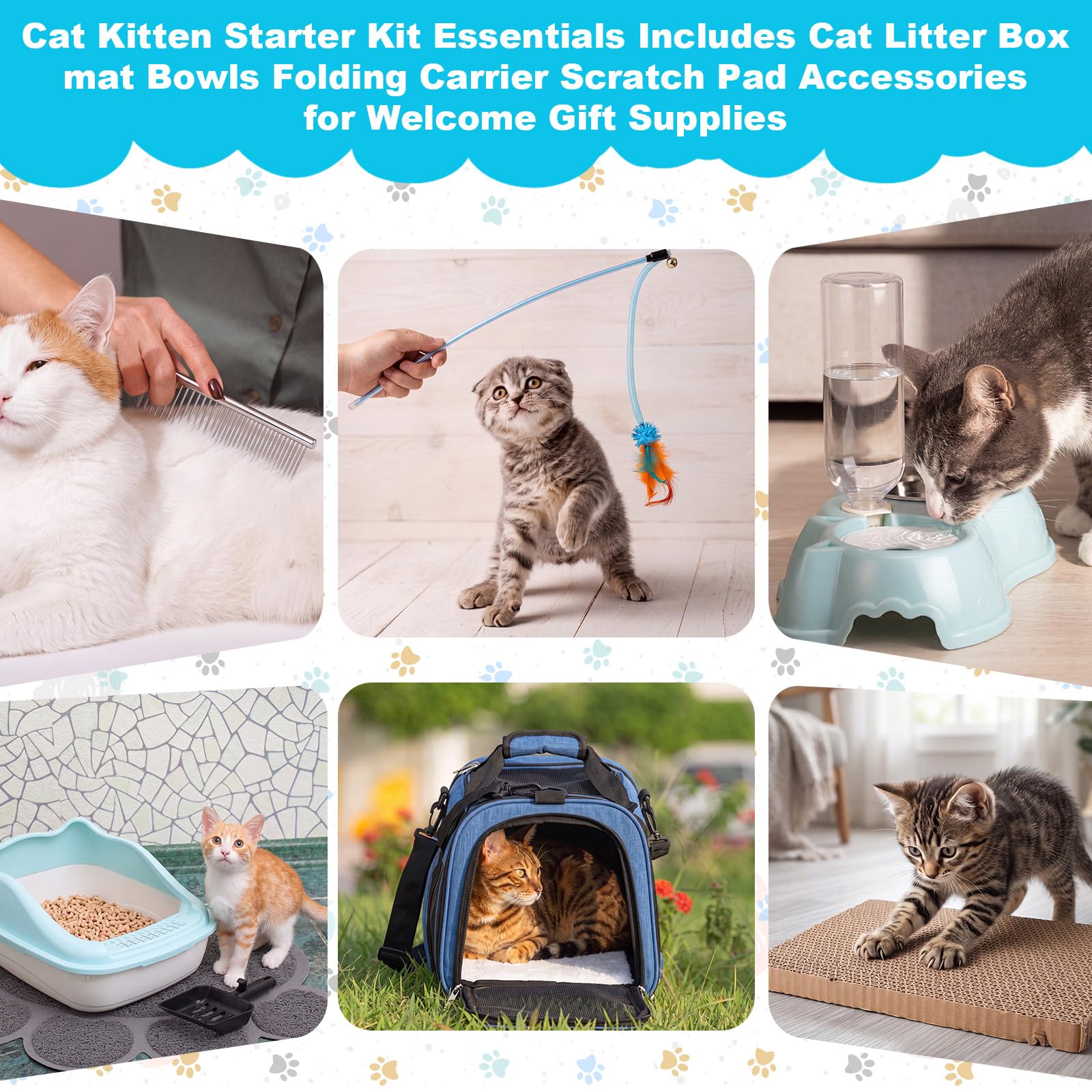 8-teiliges Starter-Set für Kätzchen, Katzen-Kätzchen-Starter-Set, enthält Katzentoilette, Matte, Schalen, faltbare Tragetasche, Kratzunterlage, Zubehör für Willkommensgeschenk (blau)