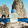 Dolce&Gabbana New Light Blue Pour Homme, Eau de Toilette Spray, para Hombre 5