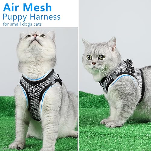 Miniatura 4 de Arnés para perros  Chaleco transpirable para cachorros para perros pequeños, arnés de malla para gatos (negro, S)