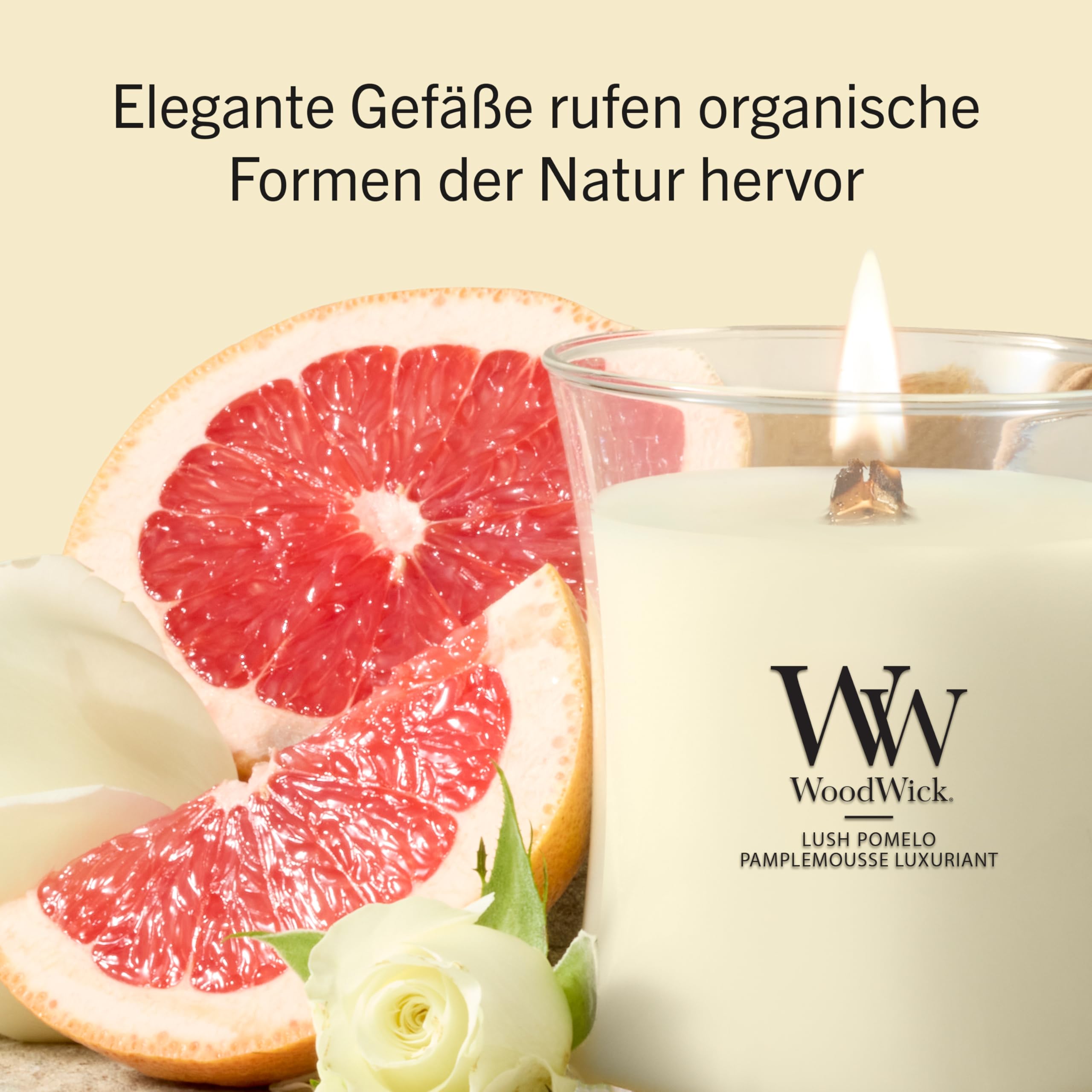 WoodWick | Mittlere Kerze | Saftige Pomelo | Tolles Geschenk für Frauen