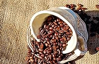 Vista 4 de Cafe Du Monde Café con Achicoria, 15 oz, (Paquete de 6)