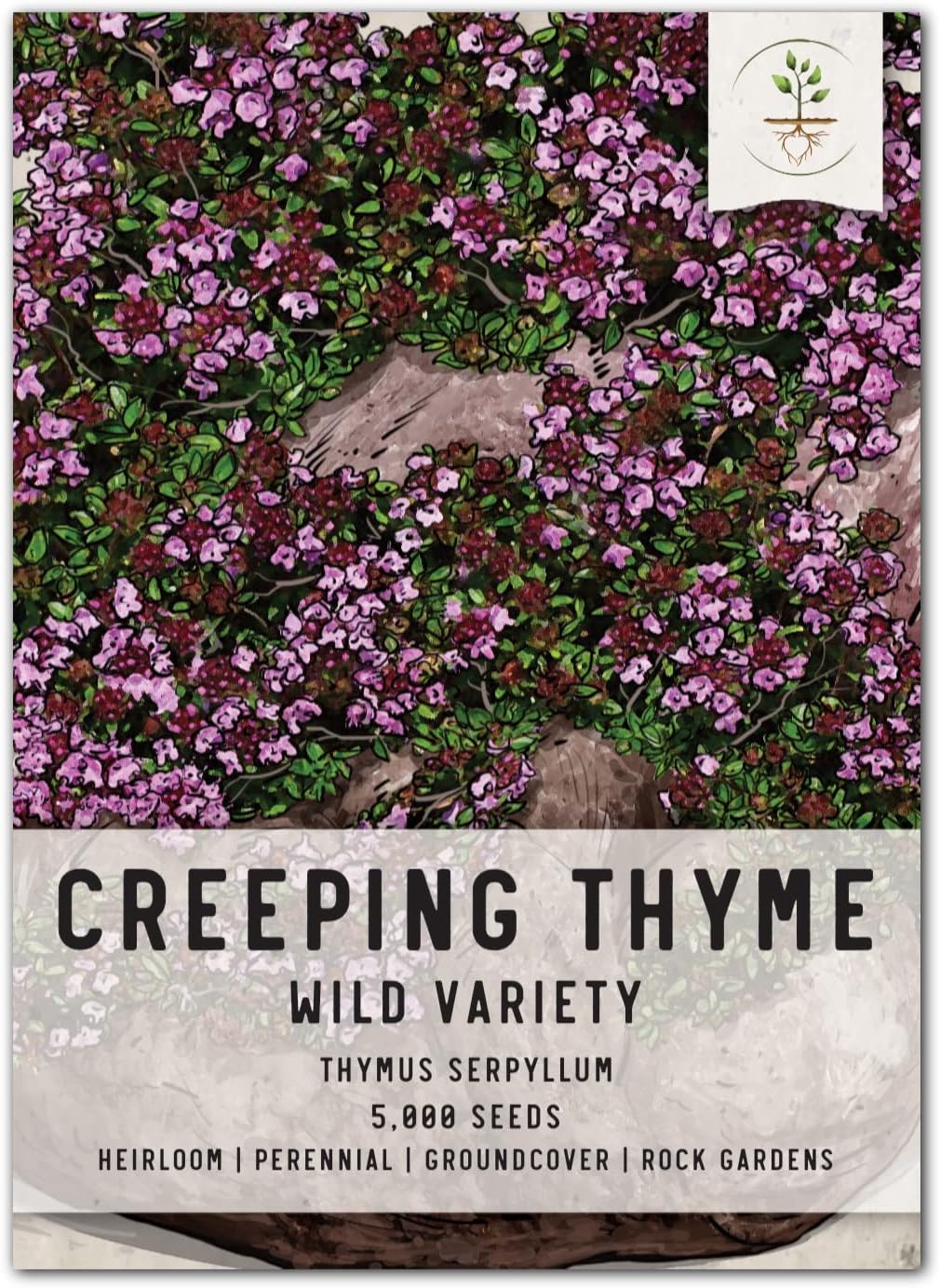 Seed Needs, Wild Creeping Thyme Seeds for Planting (Thymus serpyllum) Single Packag of 5,000 Seeds - Heirloom & Open Pollinated