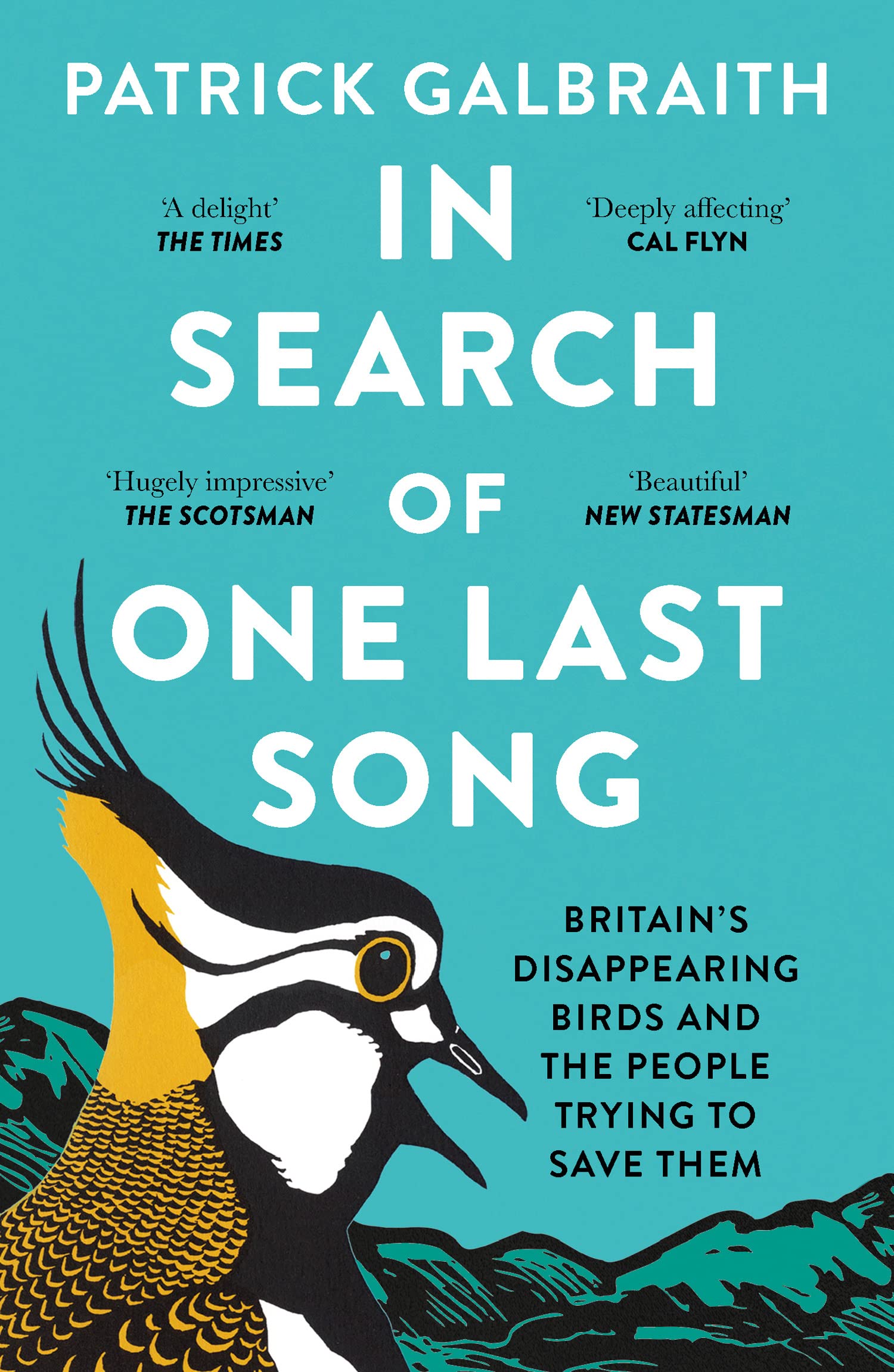 In Search of One Last Song by Patrick Galbraith PAPERBACK 9780008420505