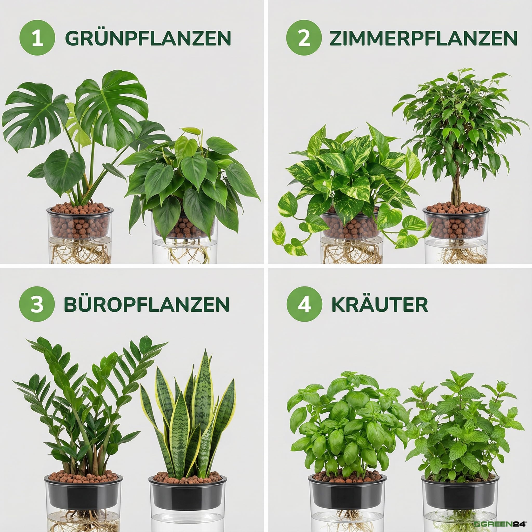 GREEN24 Nawóz hydroponiczny NPK 250 ml specjalny nawóz do upraw bezziemnych – hydroponika NFT DWC aeroponika pionowa farming – bez azotu amonowego, roztwór odżywczy, granulat gliniany, do uprawy