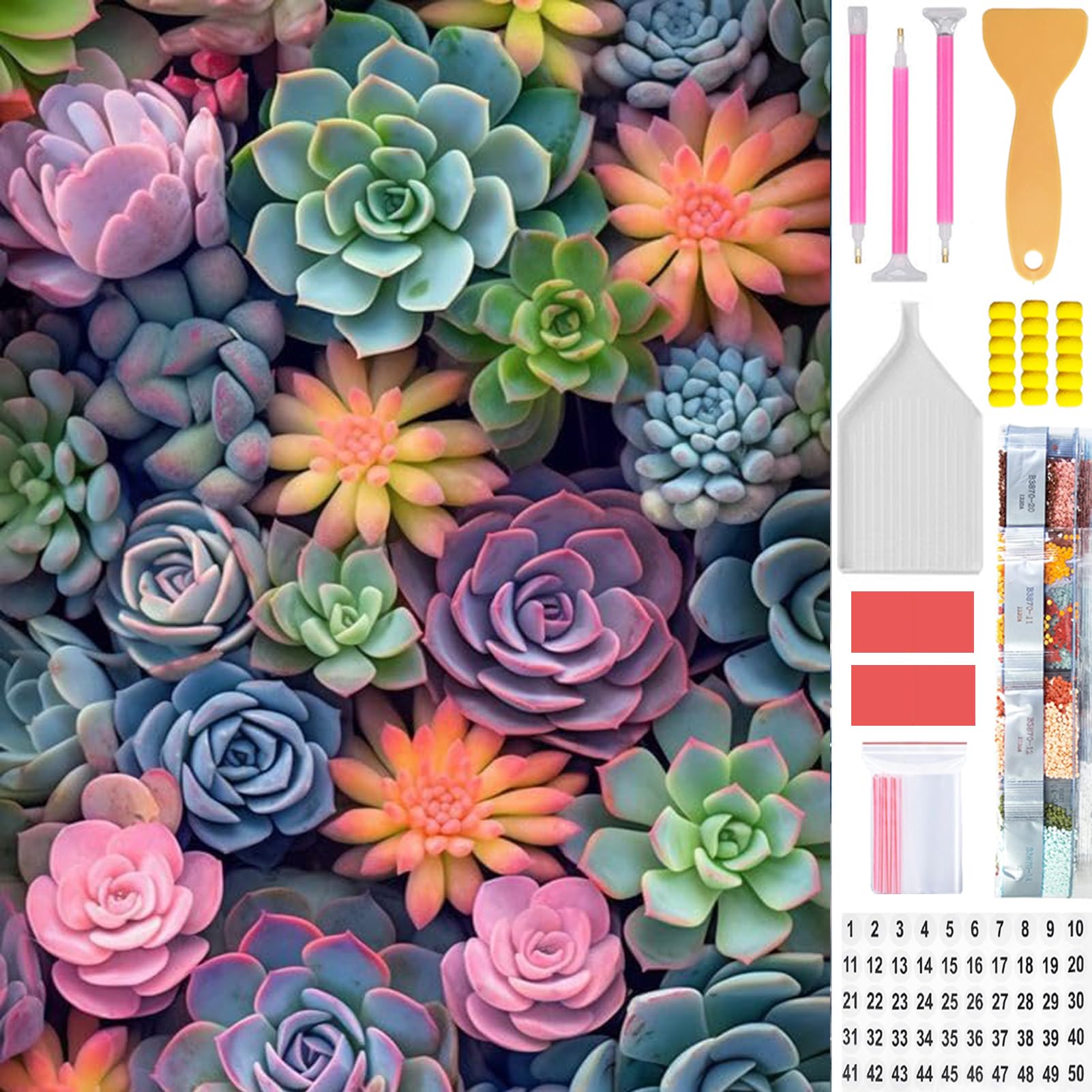 Amyaker ダイヤモンドアート キット 四角いビーズ 全面 ダイアモンドビーズ絵画キット 日本語キャンバス DIY 手作り絵画 手芸キット モザイクアート 5D モザイクアート ダイヤモンド塗装 全面貼り付けタイプ 30x40cm 多肉