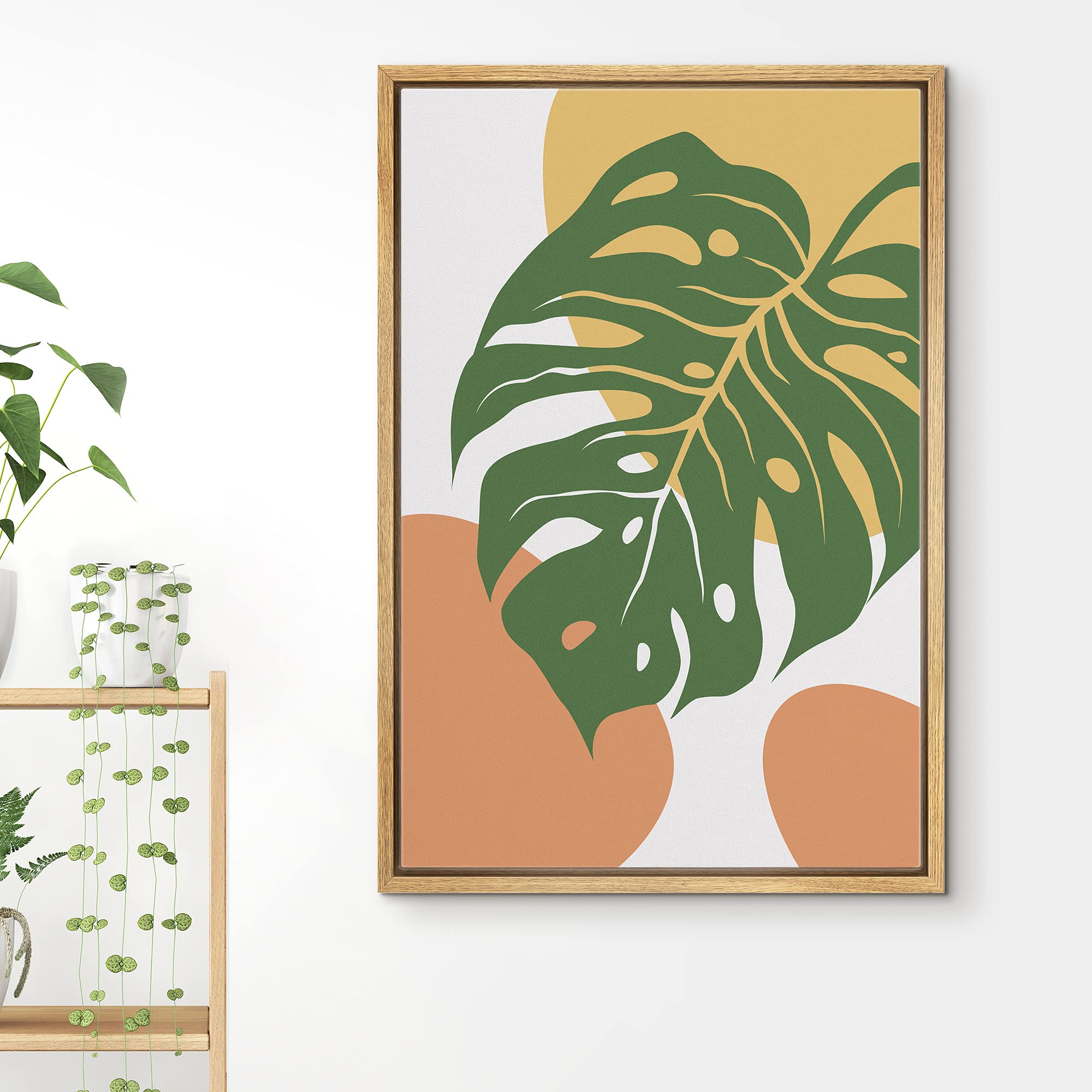 monstera im badezimmer Monstera deliciosa XXL | Online kaufen main image 1
