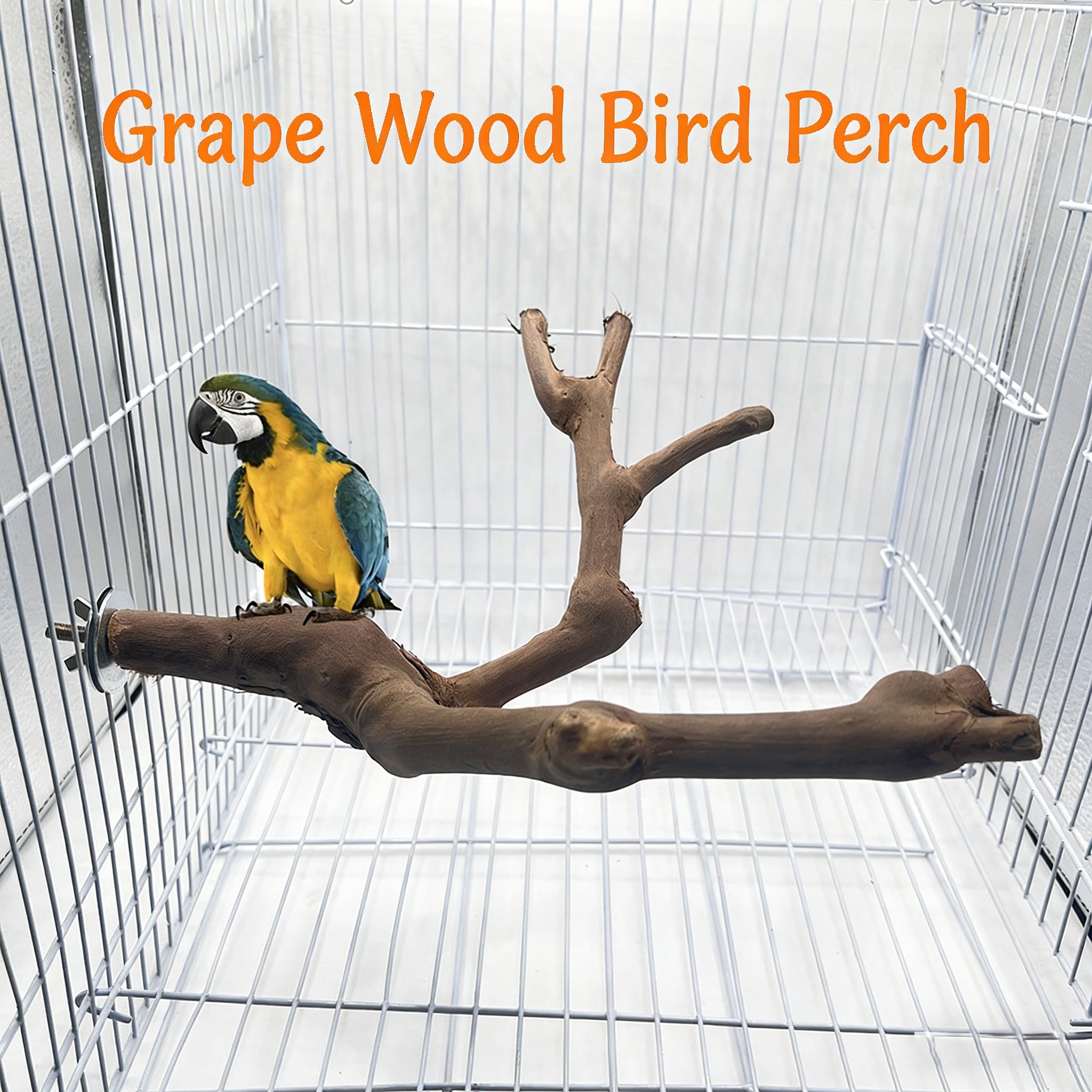 Juguete Percha De Madera De UVA Silvestre Natural para Pájaros, Perchas De Madera Natural para Periquitos, Canarios Y Otras Aves, Accesorios Esenciales para Jaulas De Pájaros. 15cm 80g