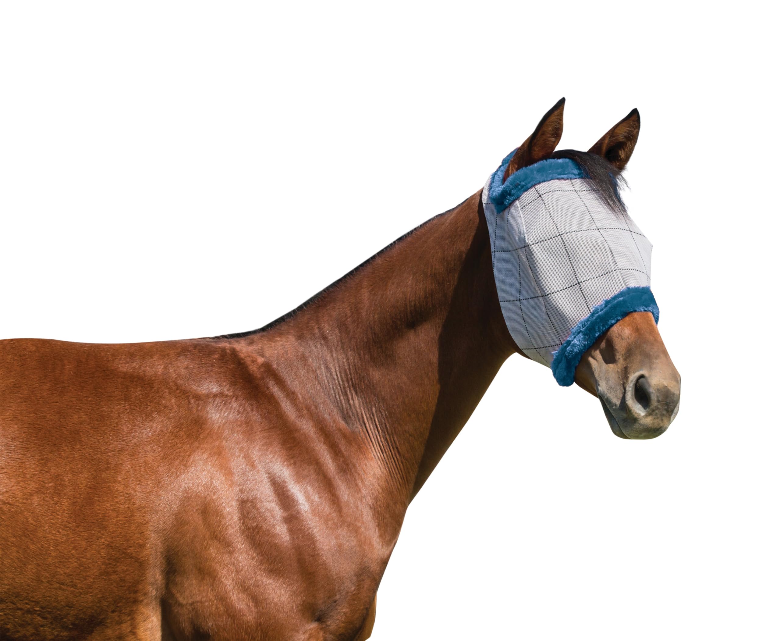 Farnam SuperMask II - Máscara de mosca de caballo sin orejas, tamaño de potro, el color puede variar