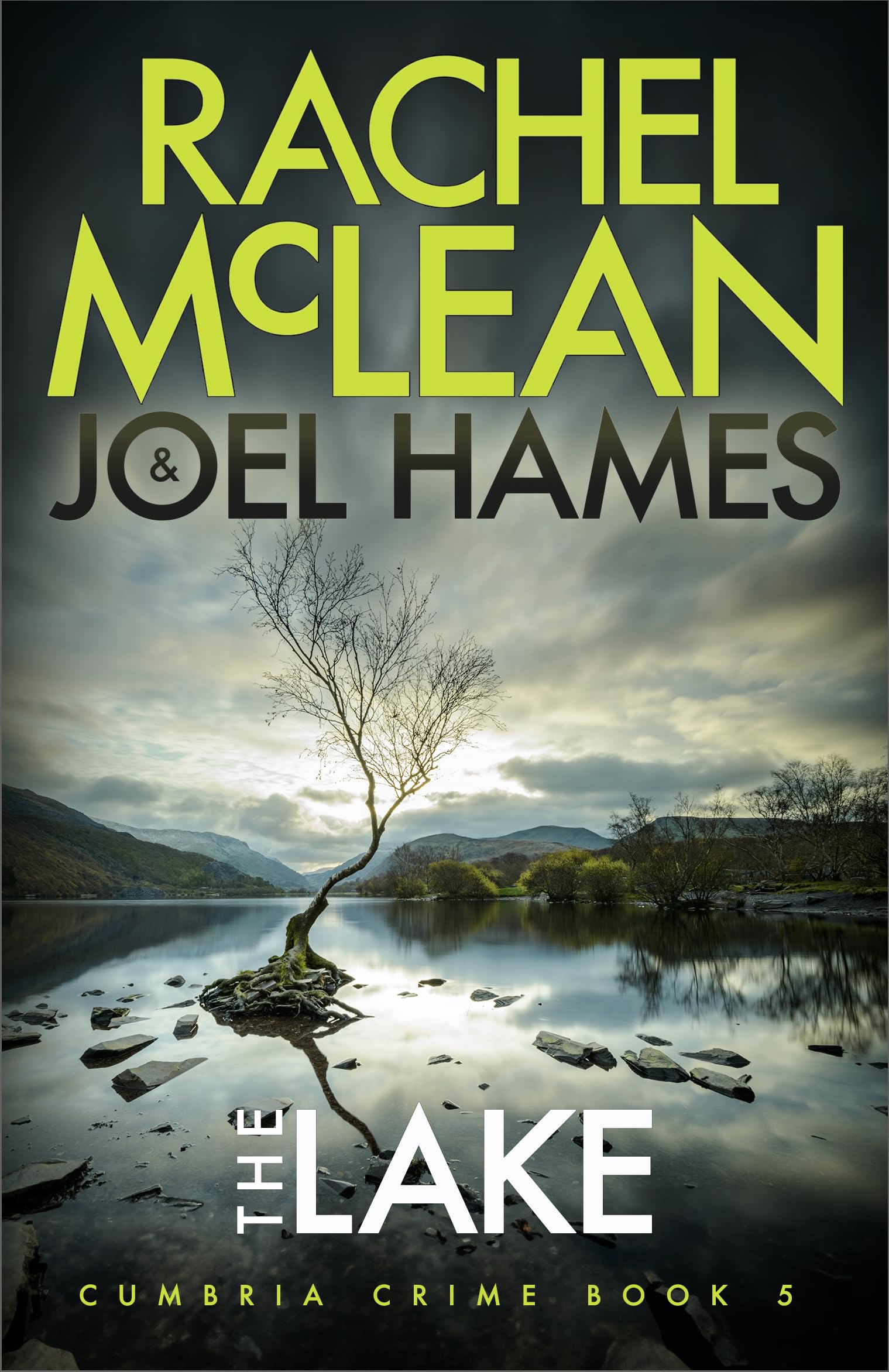 The Lake by Joel Hames (Paperback Book)