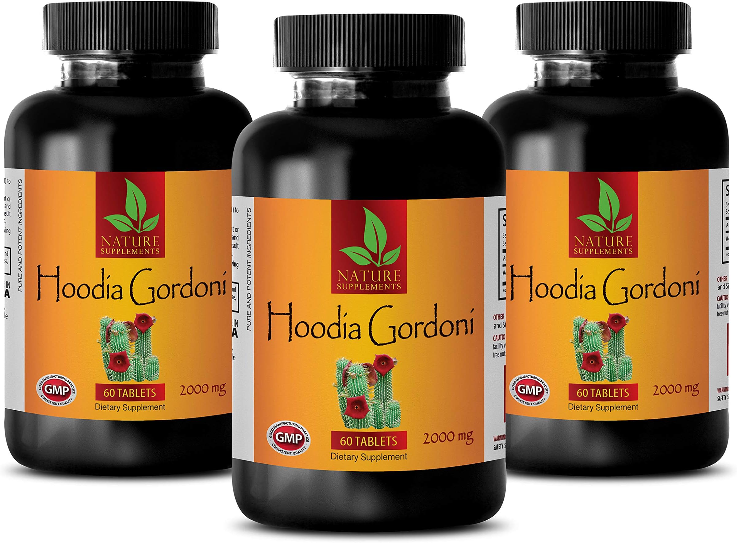 Appetite suppressant and Fat Burner for Women - HOODIA GORDONI 2000 MG - Dietary Supplement - Fat Burner Vitamins for Men - 3 Bottles 180 Tablets