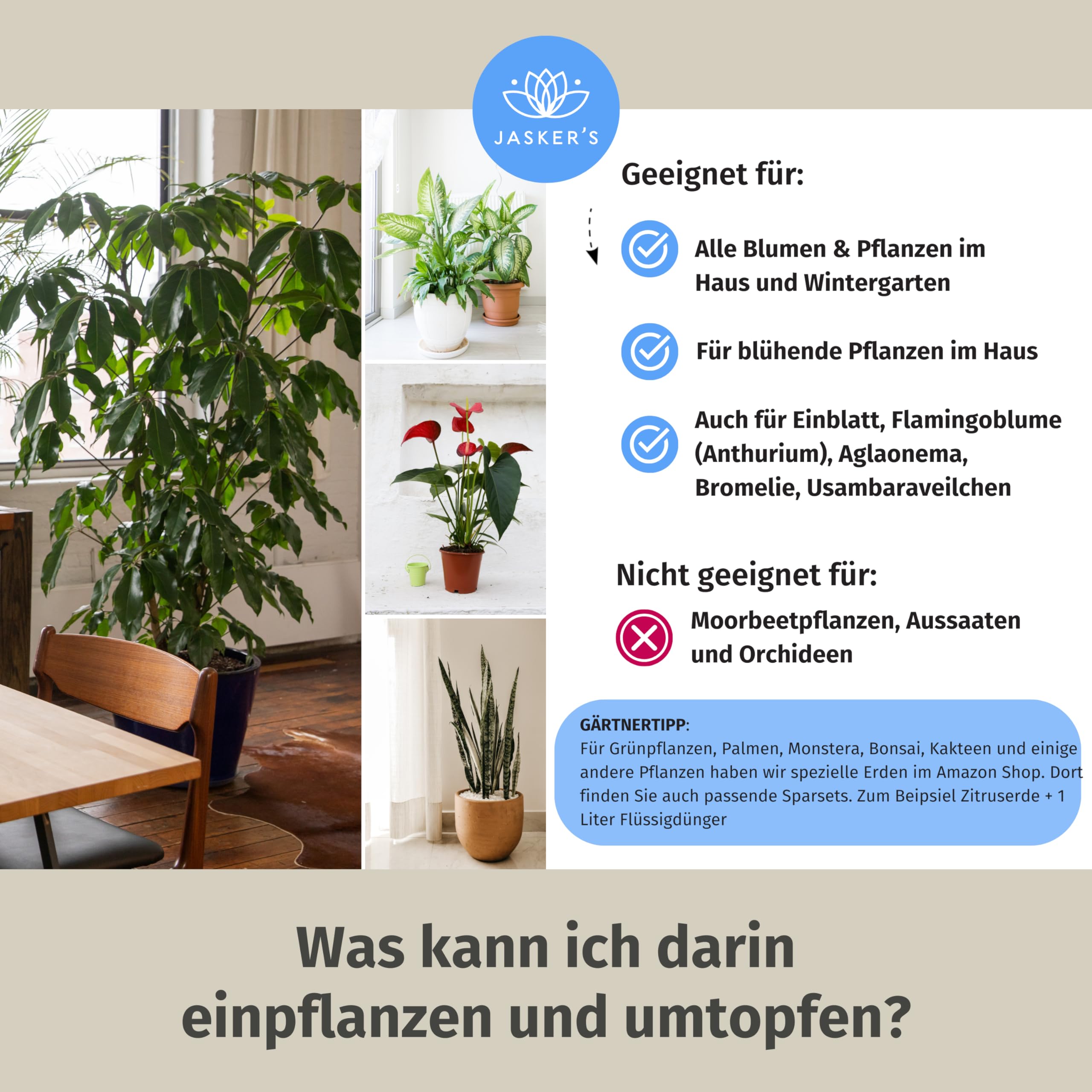 zimmerpflanzen wann düngen Zimmerpflanzen Dünger, Monstera Dünger, 6 Monate Depotwirkung – PlantMe main image 0