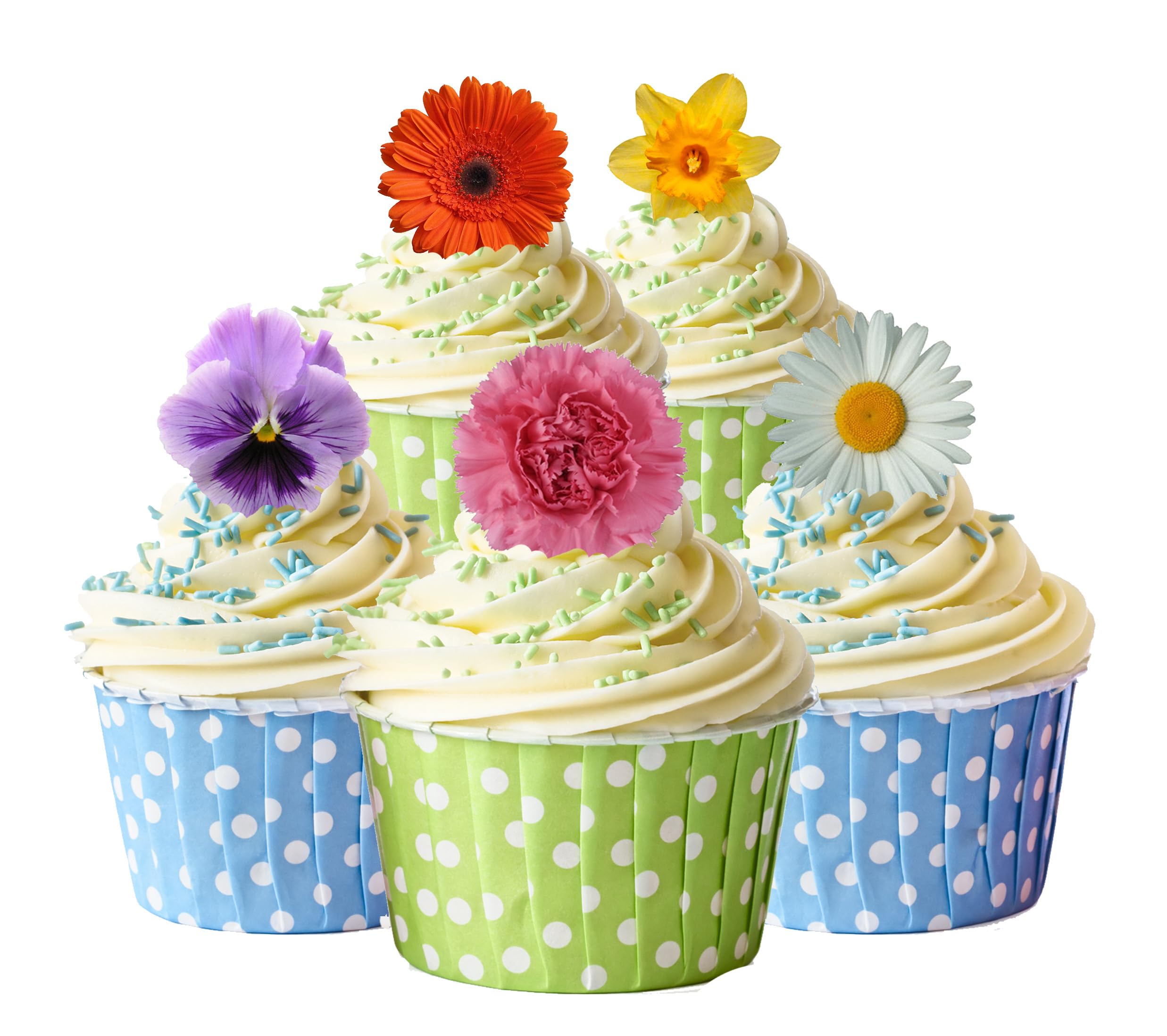 30 Gorgeous Mixed Spring Flower Selection Edible Wafer Paper Cake Toppers Decorations - Daffodil Daisy Gerbera Pansy