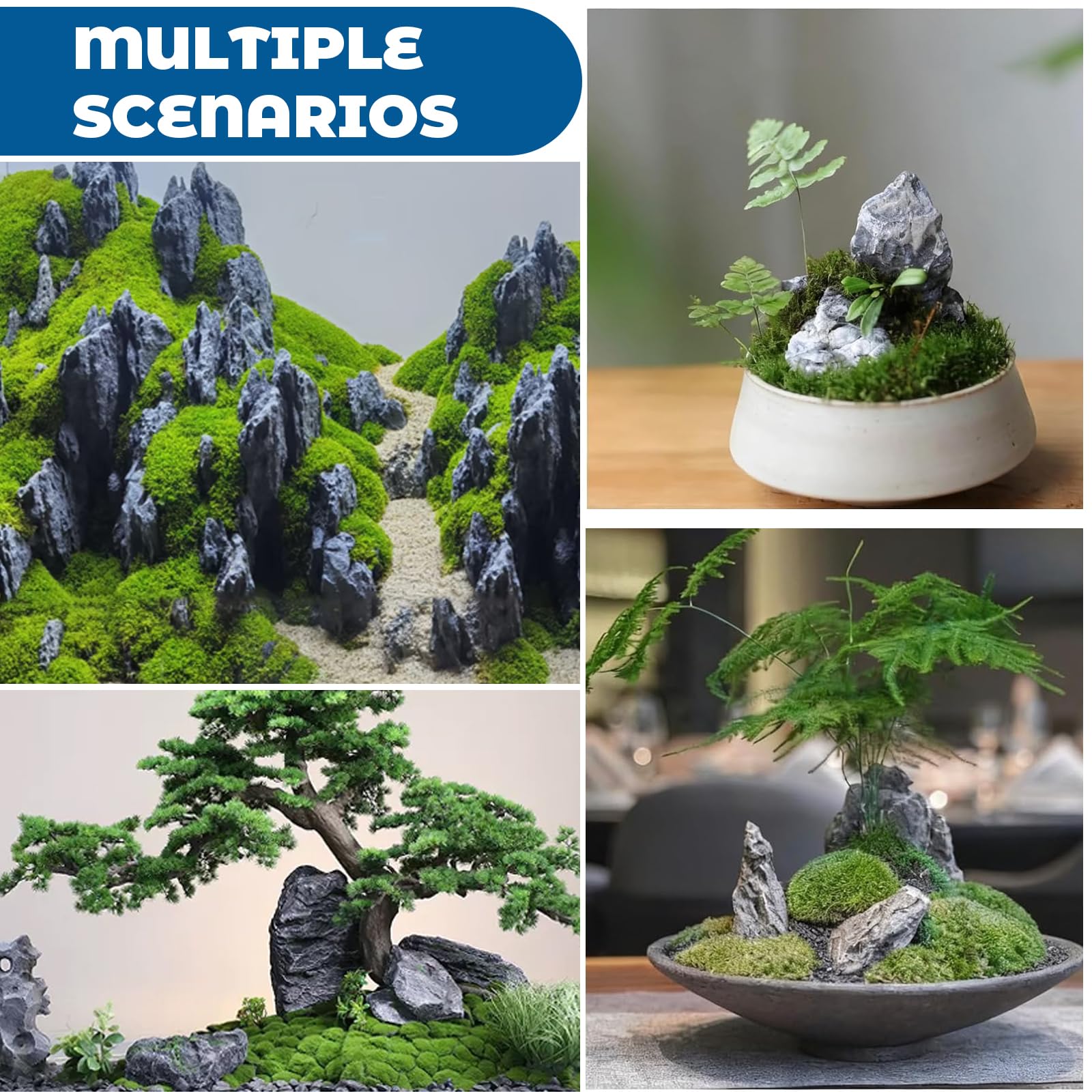 500g Natürlicher Seiryu Rock, 3-6 cm Aquarium Steine Aquarium Deko für Aquascaping und Landschaftsgestaltung Dekorative Steine für Aquarien, Bepflanzte Aquarien und Amphibien Terrarien