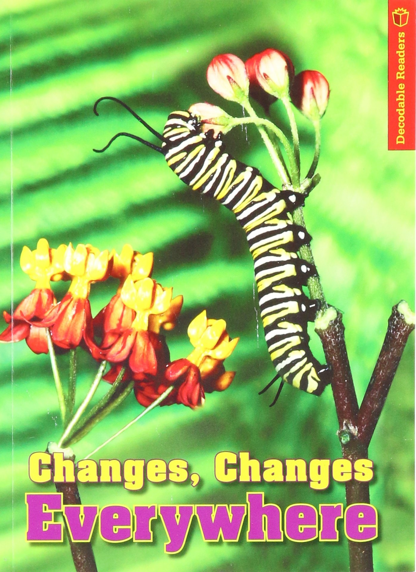 Journeys, Decodable Reader Level 2 Unit 5: Houghton Mifflin Journeys (Hmr Journeys/Medallions/portals 2010-12)