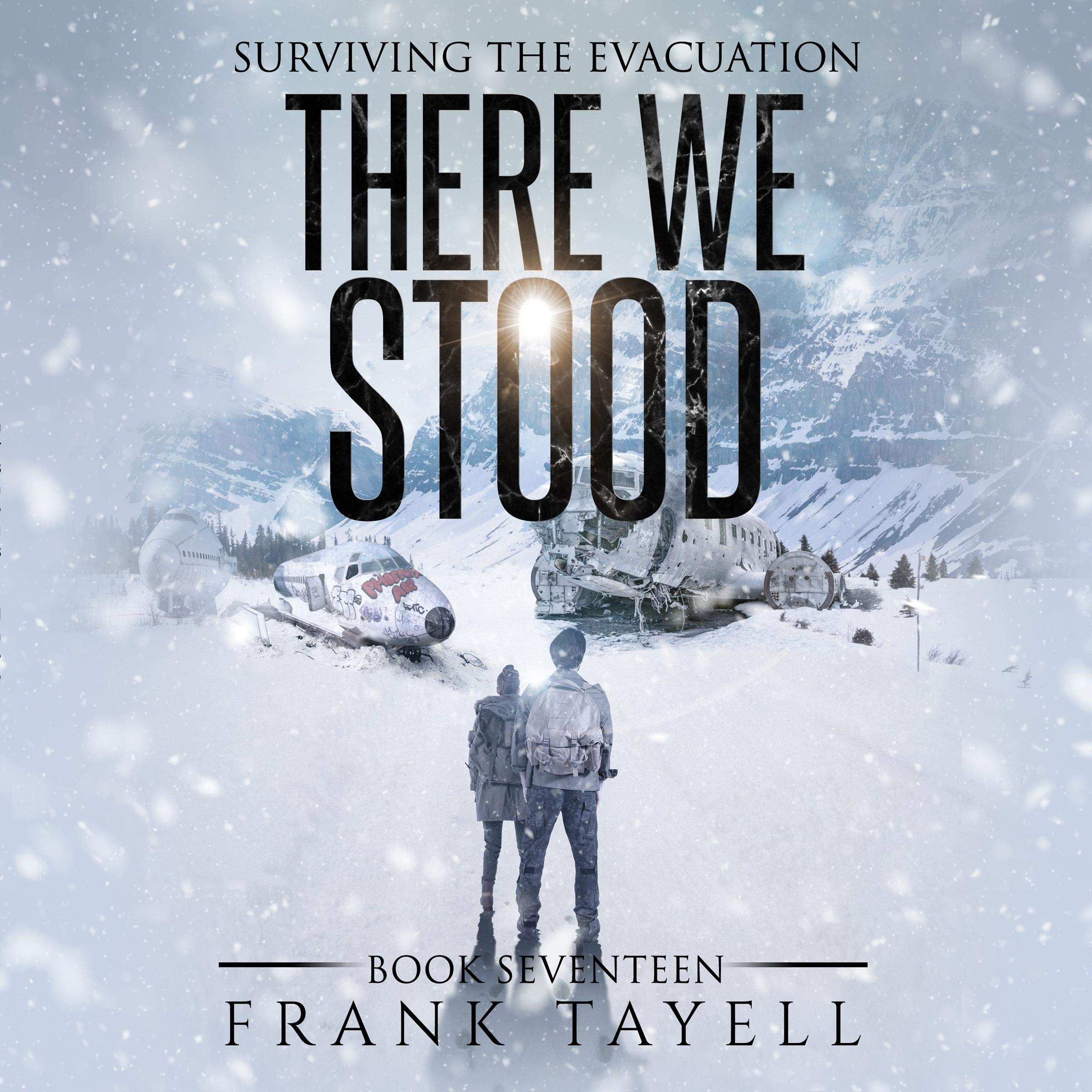 Cover art for There We Stood