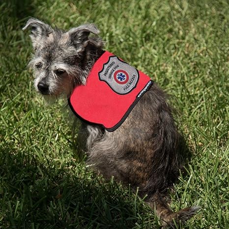 service dog vest small