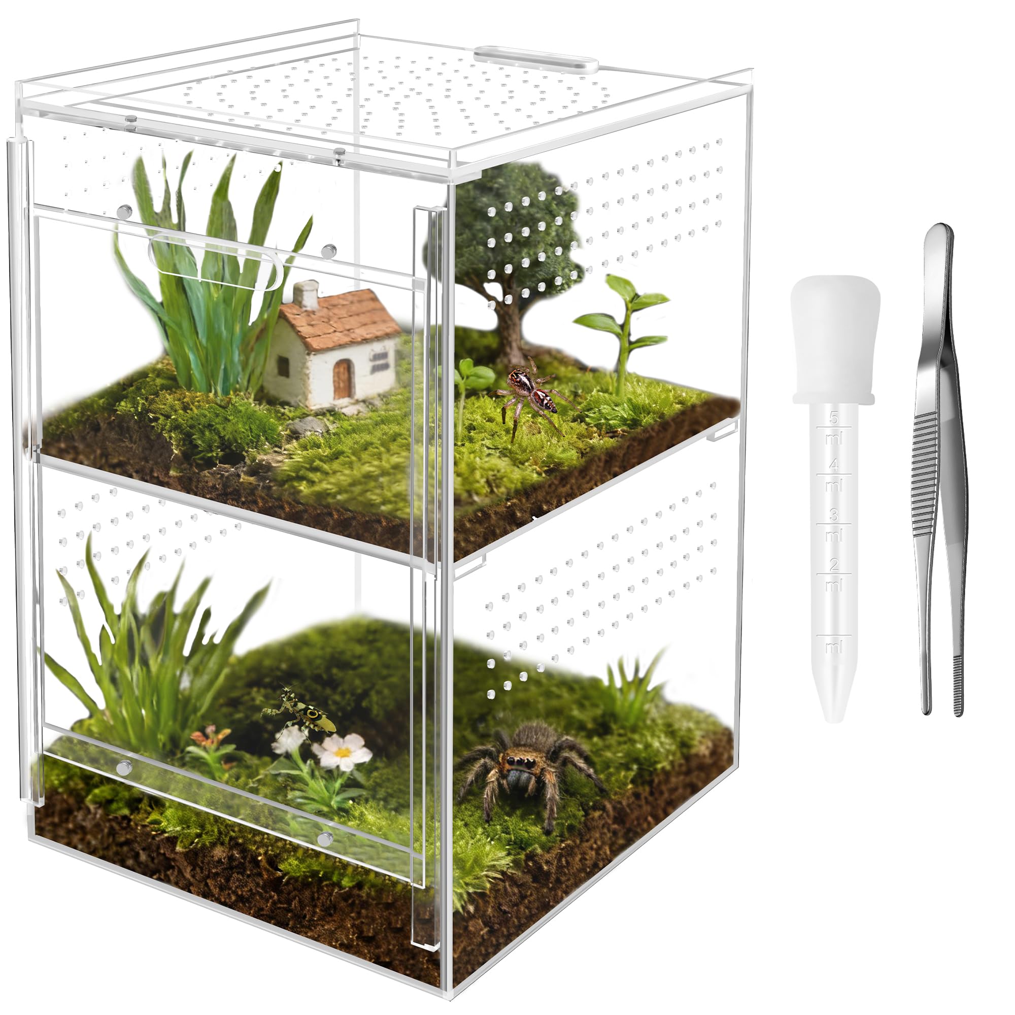Windspeed Caja de araña de salto de doble capa de acrílico para terrario de micro hábitat, caja de terrario para arañas, mantis, tarántula, caracol (21 x 21 x 30 cm)