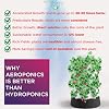 Hydroponic Systems - Aeroponic Garden Tower - Indoor and Outdoor Hydroponics Growing System for Indoor Garden - Grow Herbs, Fruits & Vegetables - 48 Pots (Aero 48 Pro + LED) (Aero 48 LED)