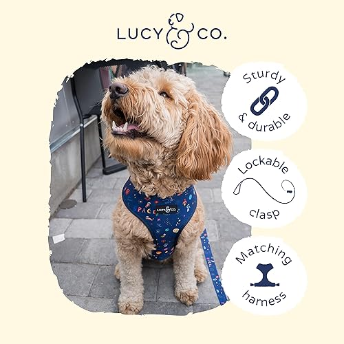 Miniatura 3 de Lucy & Co. Correa de diseño para perro de 5 pies, ideal para cachorros grandes, pequeños o medianos, diseño de garabatos espaciales, grande