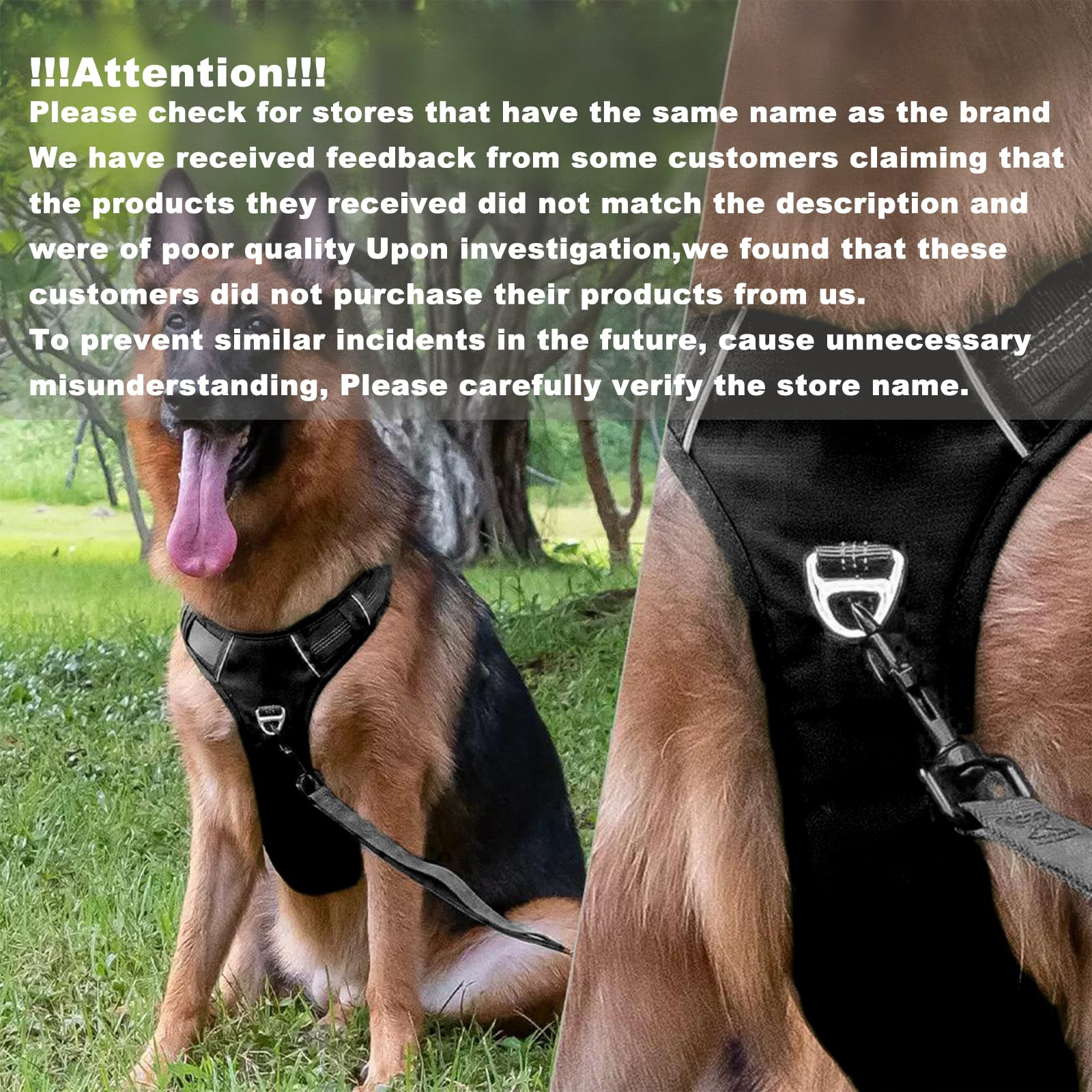 No Pull Dog Harness for Medium Dogs, Adjustable, Reflective Breathable Padded Vest with 2 Metal Leash Clips and Handle for Control or Car Seatbelt Use, Black, M - image 2