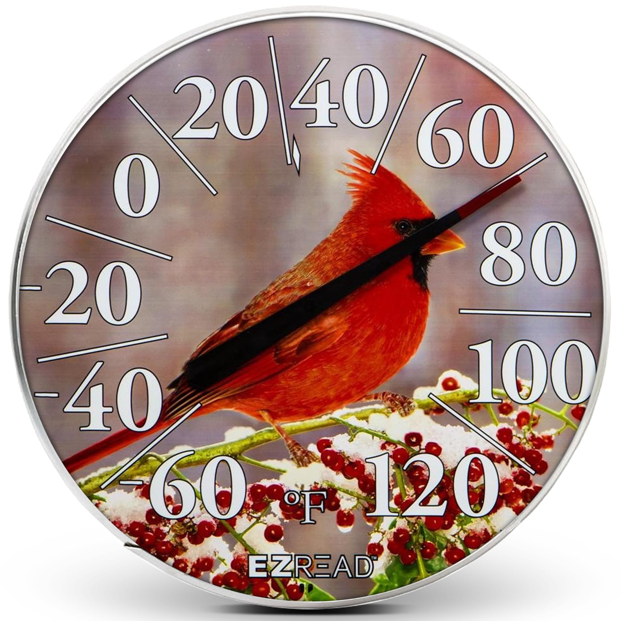 EZREAD Hanging Dial Thermometer 840-1225 Weather Thermometers for Indoor and Outdoor Use Large 12 5 Inch Diameter Easy