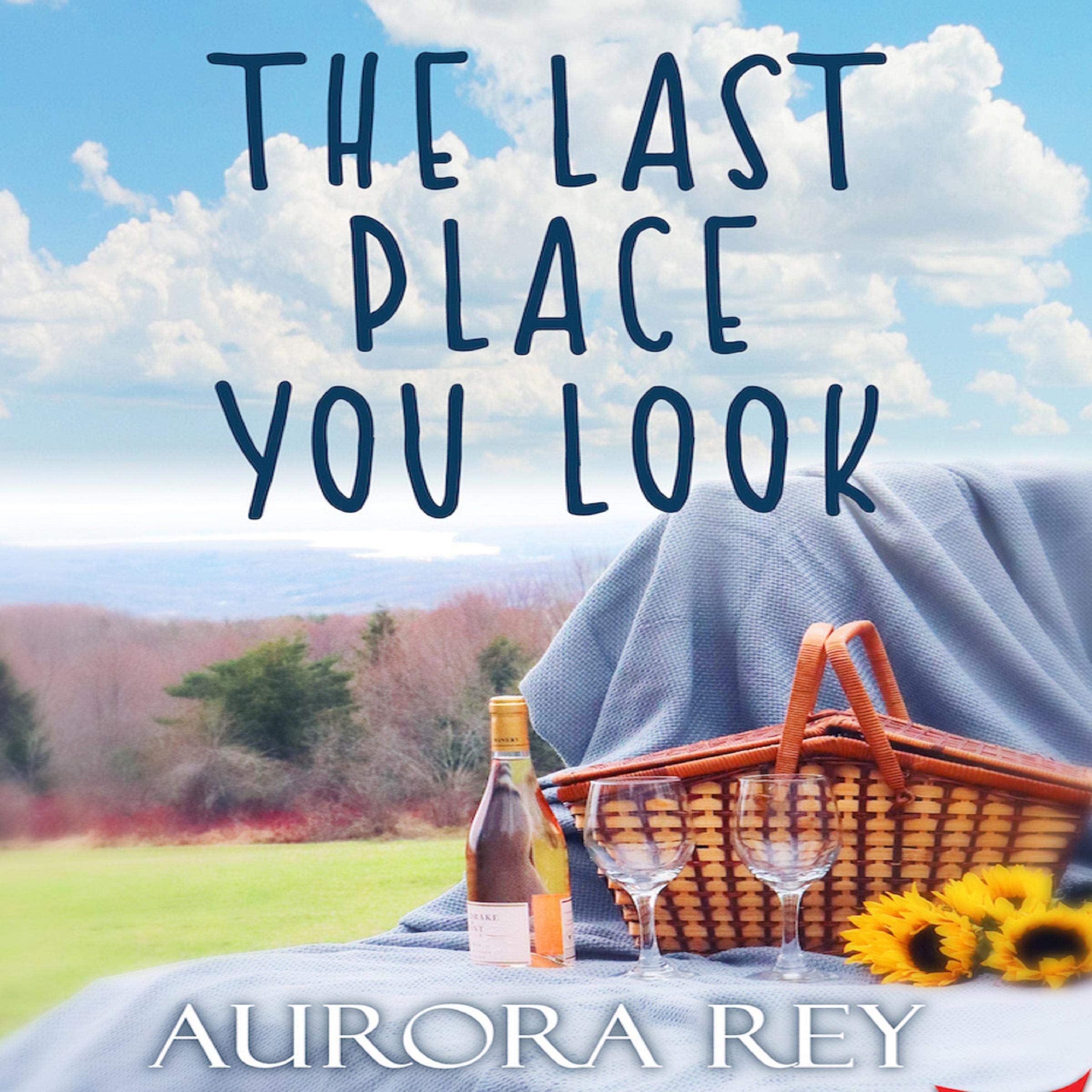 Cover art for The Last Place You Look
