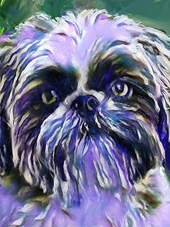 Abstract Shih Tzu Wall Art Decor, Dog Memorial, Abstract Dog Picture Gift Choice of Sizes Hand Signed by Dog Portrait Artist Oscar Jetson.