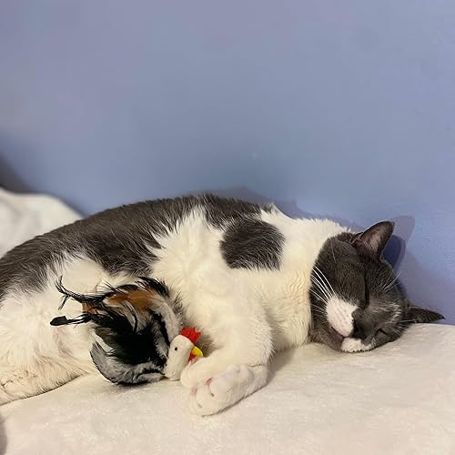 Miniatura 7 de Ethical Pet Products (Spot) SPOT CSO2829 - Juguete de plumas para gatos, surtido (773402)