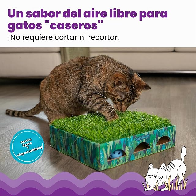 Foto 2 de 6 de Catstages Caja de Caza Grass Patch Menta Pequeña