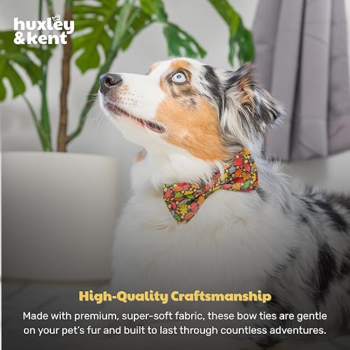 Miniatura 7 de Huxley & Kent Collar de pajarita de otoño para mascotas  Hojas y nueces (grande)  Pajaritas divertidas, bonitas, cómodas y duraderas para perros y