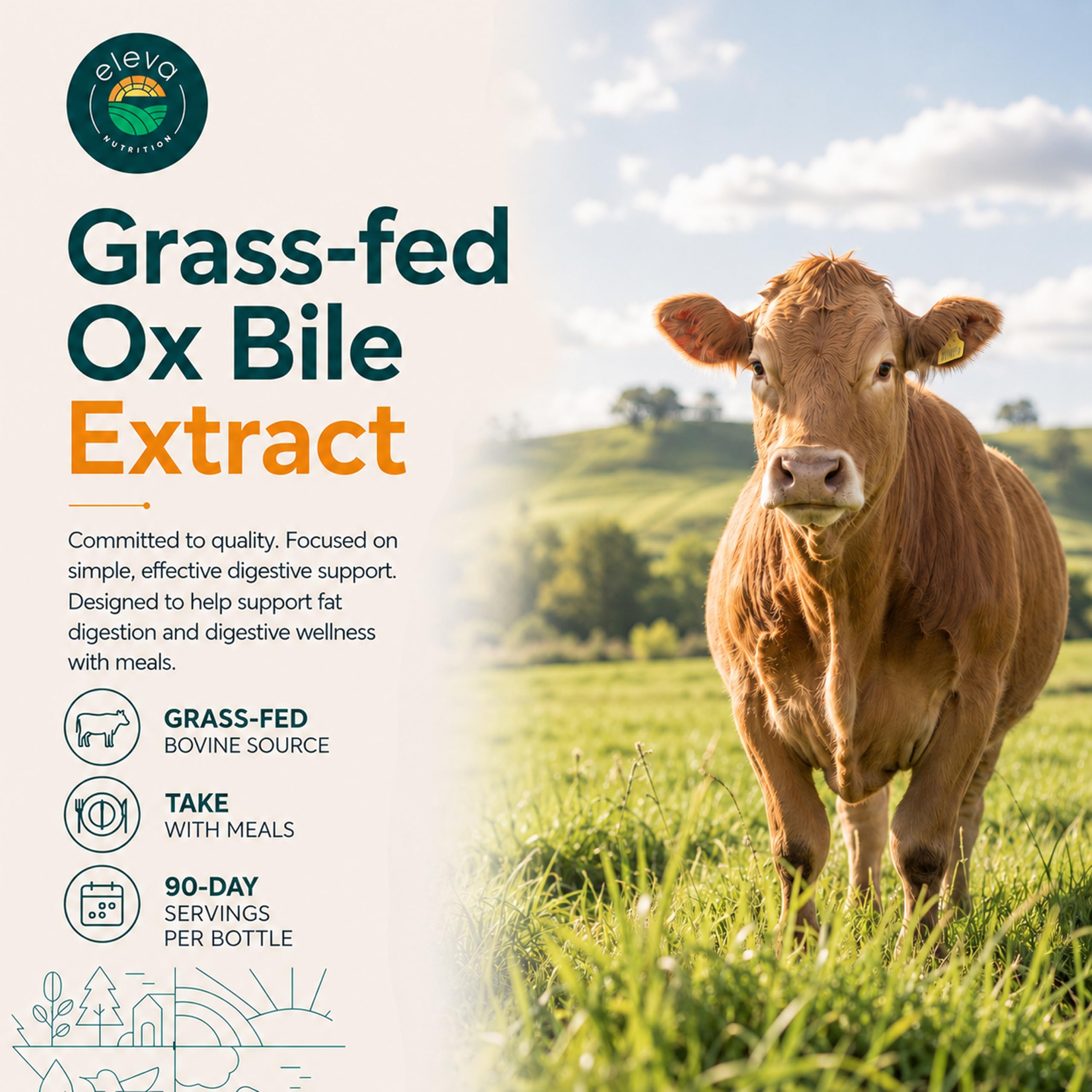 Grass-Fed Ox Bile 1000mg Extract - Digestive Enzymes Support - Ox Bile Salts for No Gallbladder - Supplements with Black Pepper - Supports Digestive Health - Bovine Salts Supplement - 180 Count — Amazon image 2