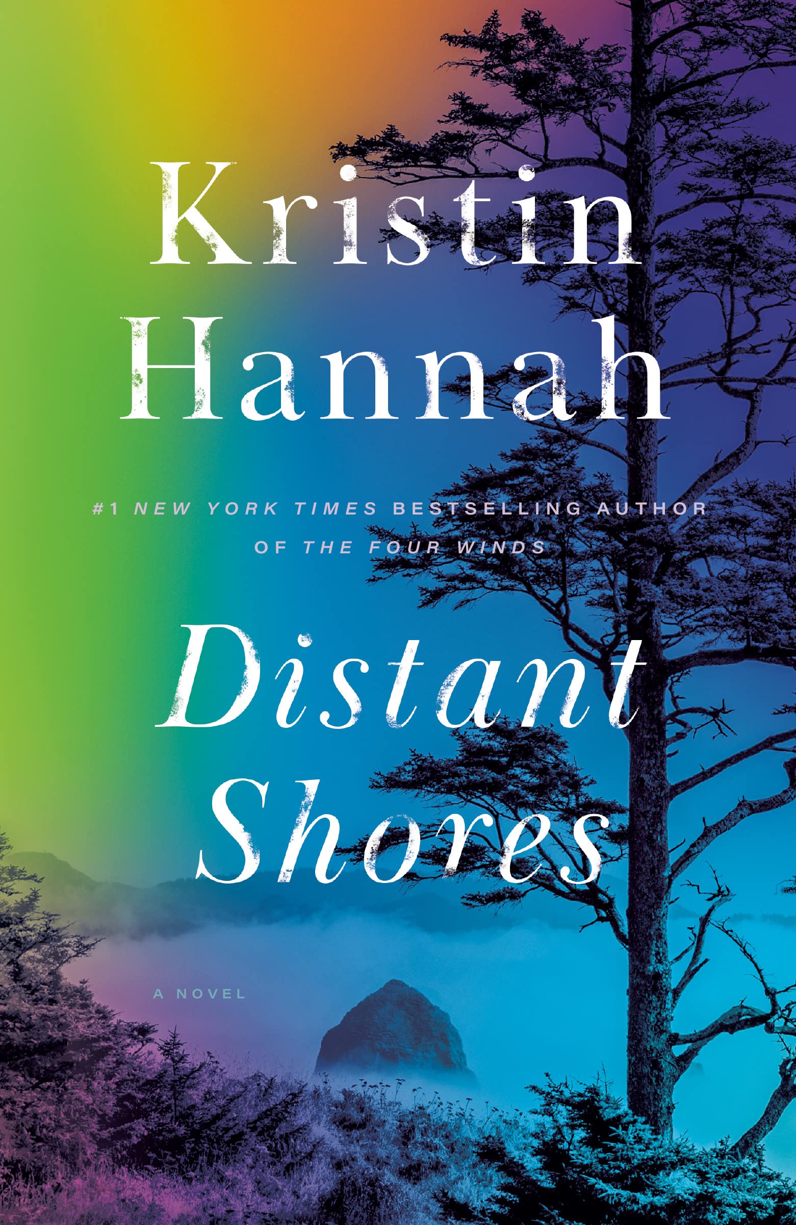 Image de couverture de Distant Shores par Kristin Hannah