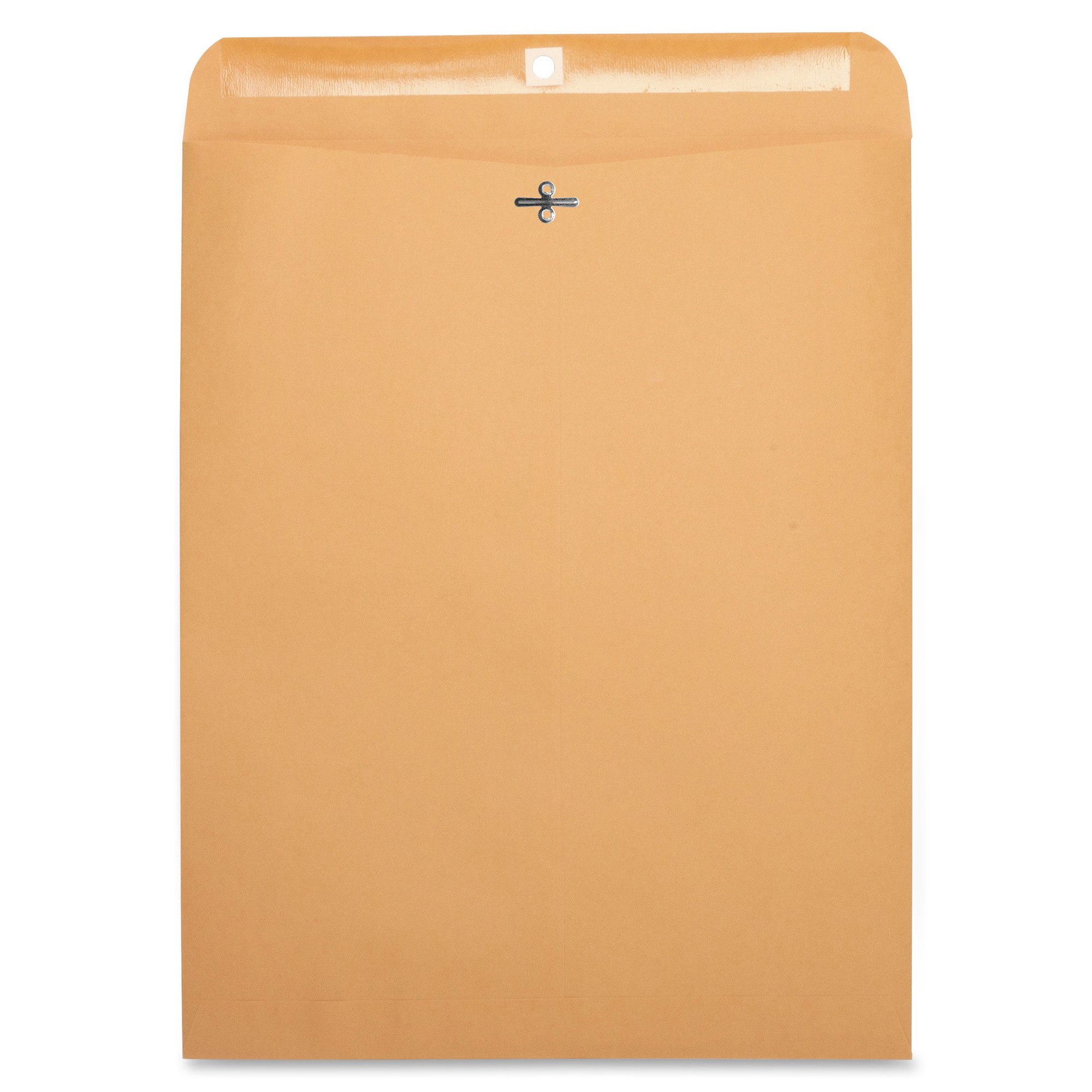 Amazon.com: BSN36667 - Business Source Heavy-Duty Clasp Envelope