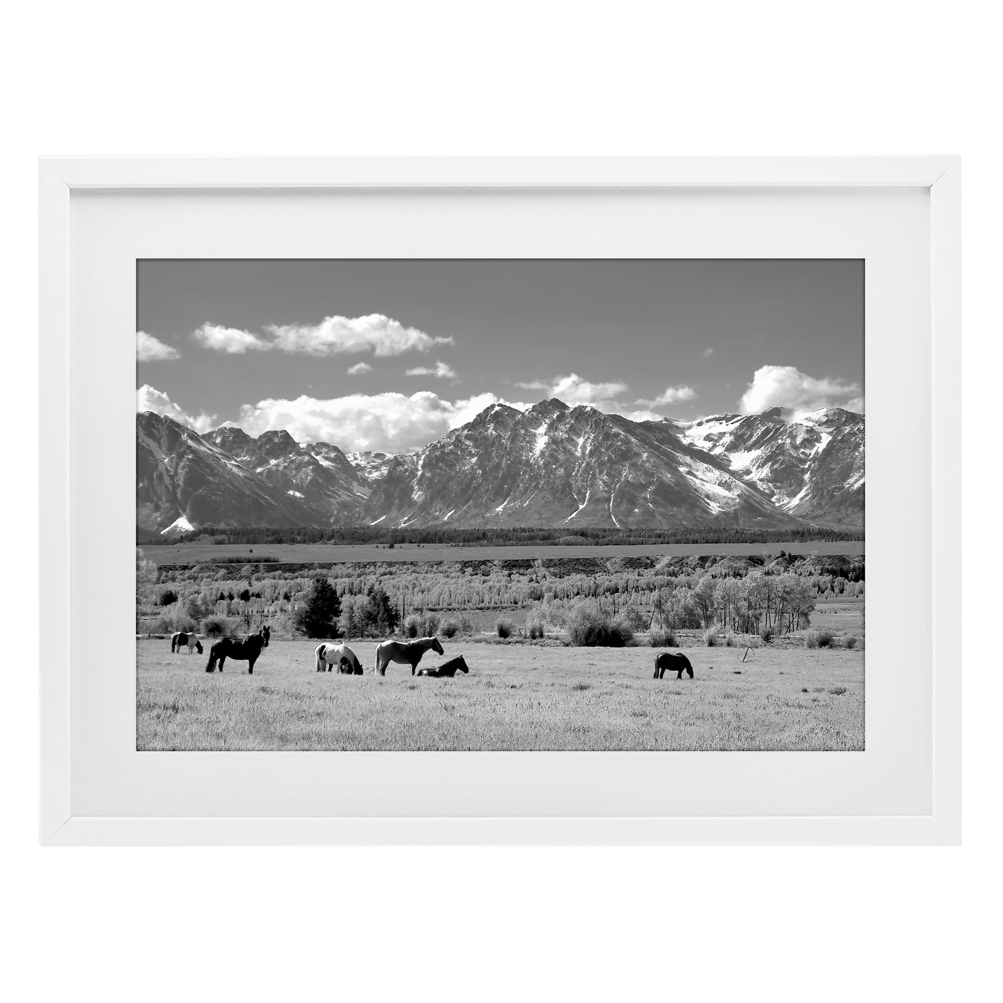 Wyoming Ranch Horses Grazing, 17 x 23 Inch Framed Print Under Glass