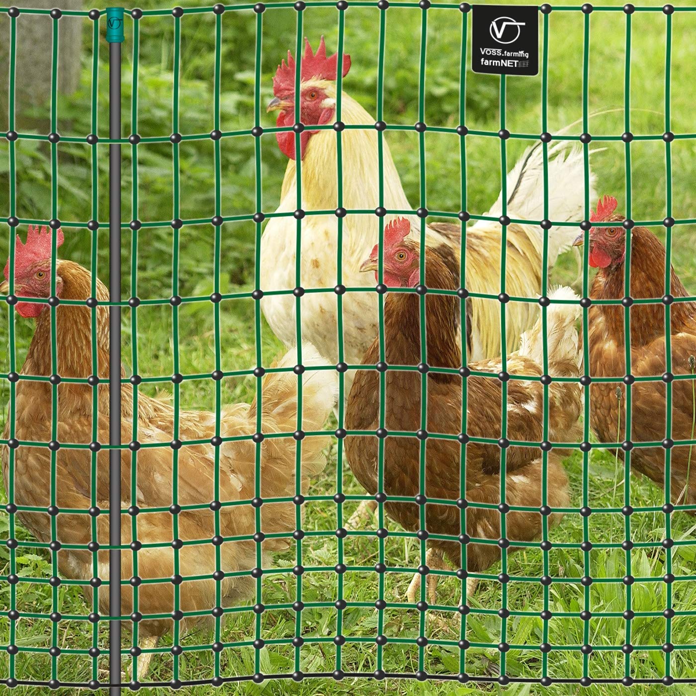 VOSS.farming Filet farmNET pour volailles/Poules, Longueur 50 m, Hauteur 112 cm, 16 piquets, 2 Pointes, Coloris Vert, Non électrifiable