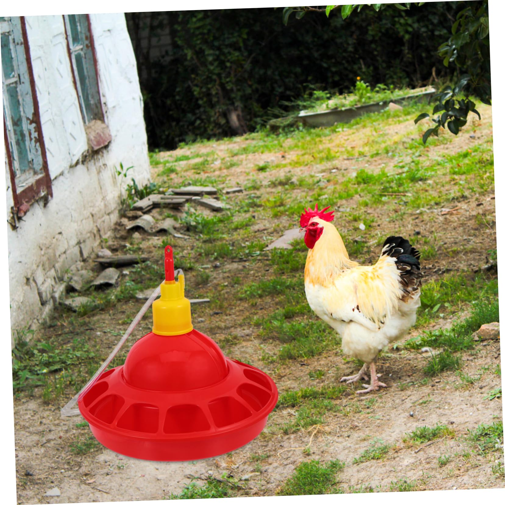 Abbeveratoio per Pollame in Plastica Pp Rosso Design Unico e Struttura Robusta, Distributore D'acqua Stabile per Polli e Pappagalli a Casa in Zoo