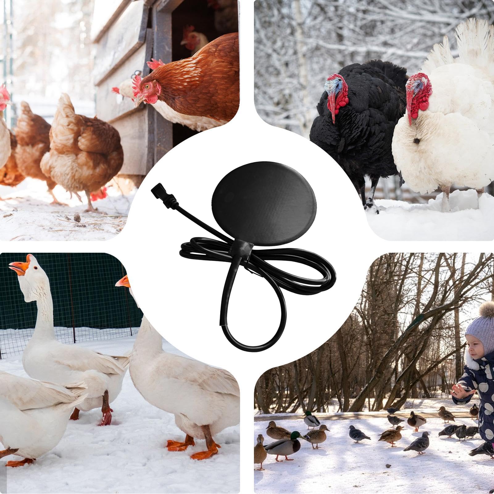 Chauffe-Eau pour Volaille, Base en Silicone 20W avec cordon de 180 cm, Base Chauffante pour Abreuvoir avec Thermostat, Maintient l’Eau Liquide en Hiver, Idéal pour Poules, Canards et Oiseaux de Ferme