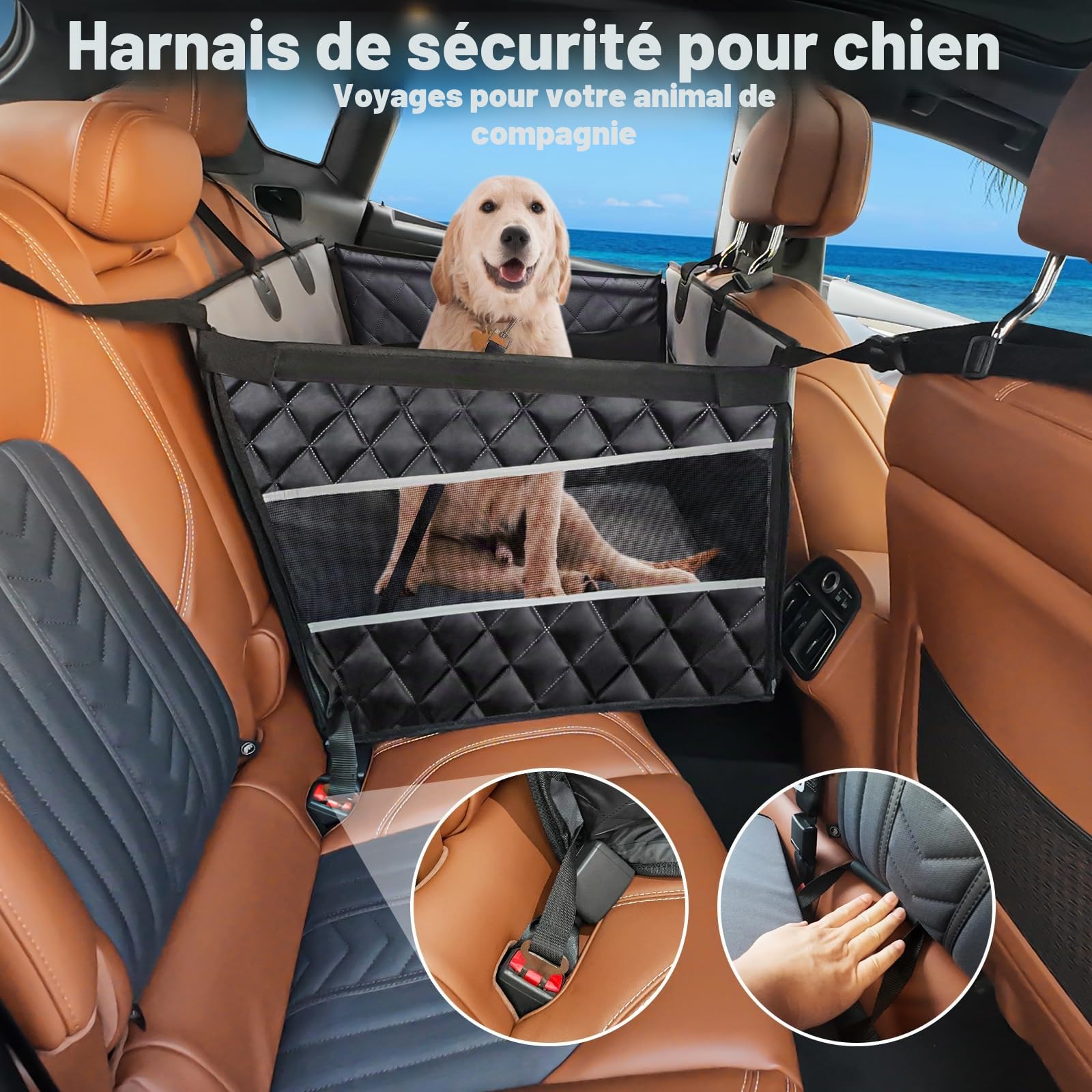 Siège Auto Chien pour Grande et Moyenne Taille en Voiture, Siège de Voiture pour Chiens avec Fenêtre de Visualisation,Pliable, Lavable en Machine, Compatible avec Tous Véhicules