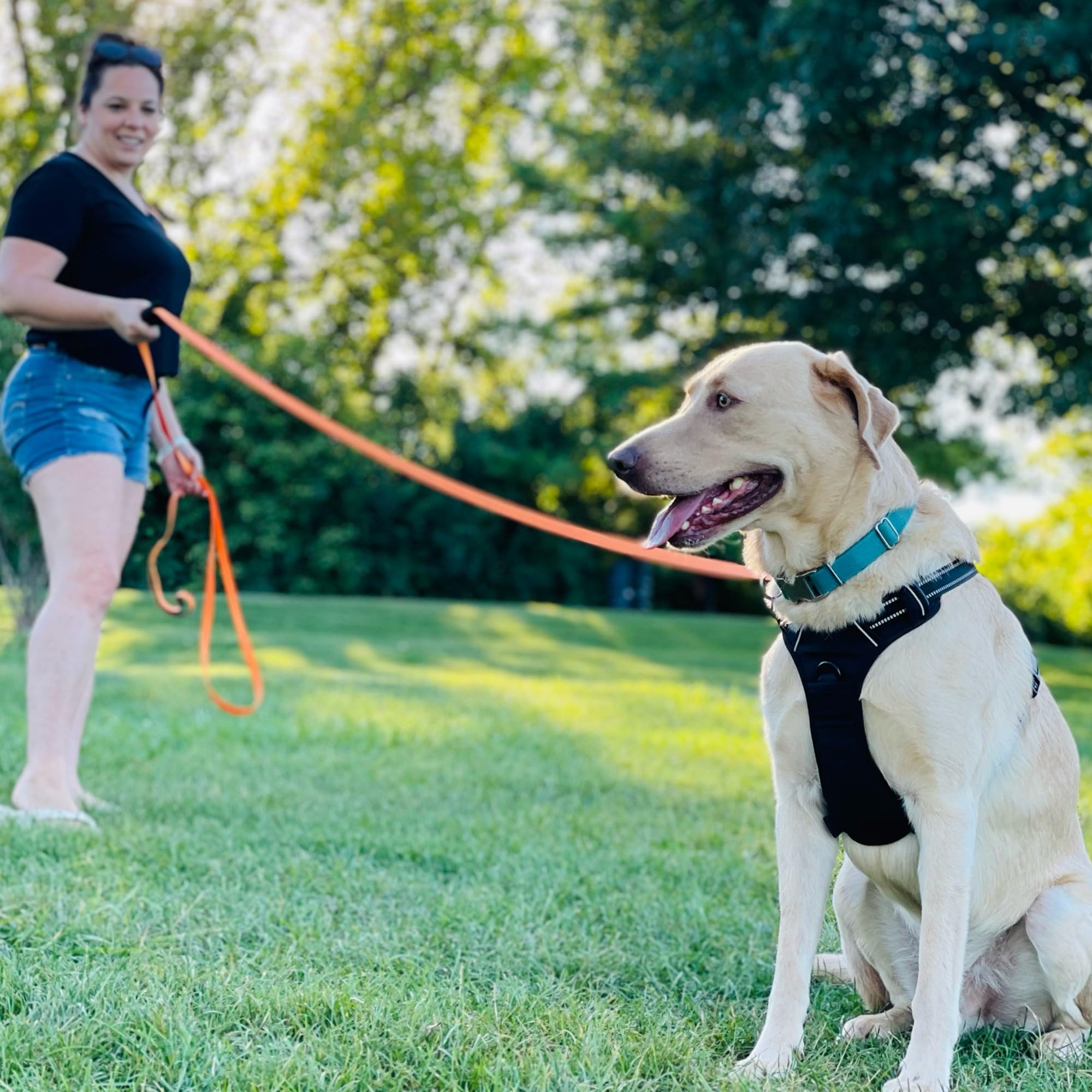 Total Pet Wasserdichte Trainingsleine für Hunde – Extra lange 20m Leine – geeignet für alle Größen